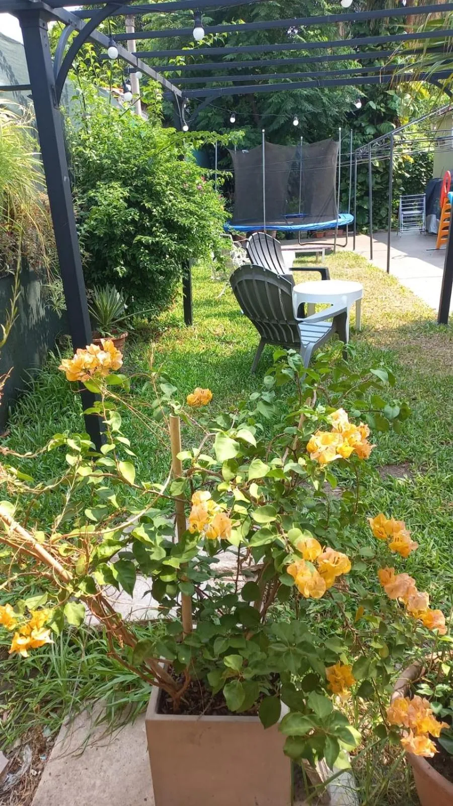 Garden in Ñanderoga B&B