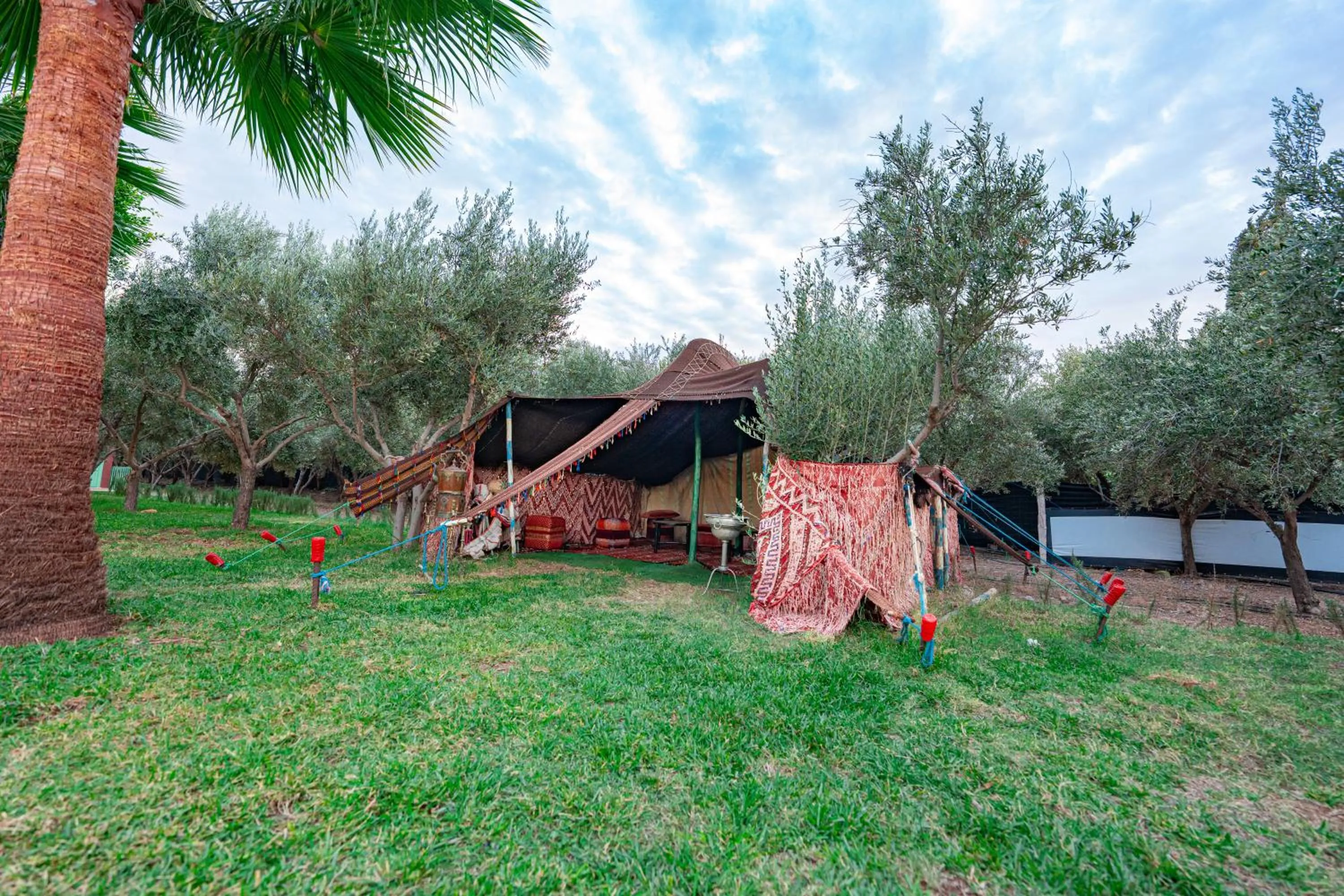 Natural landscape in Villa Baddi Marrakech