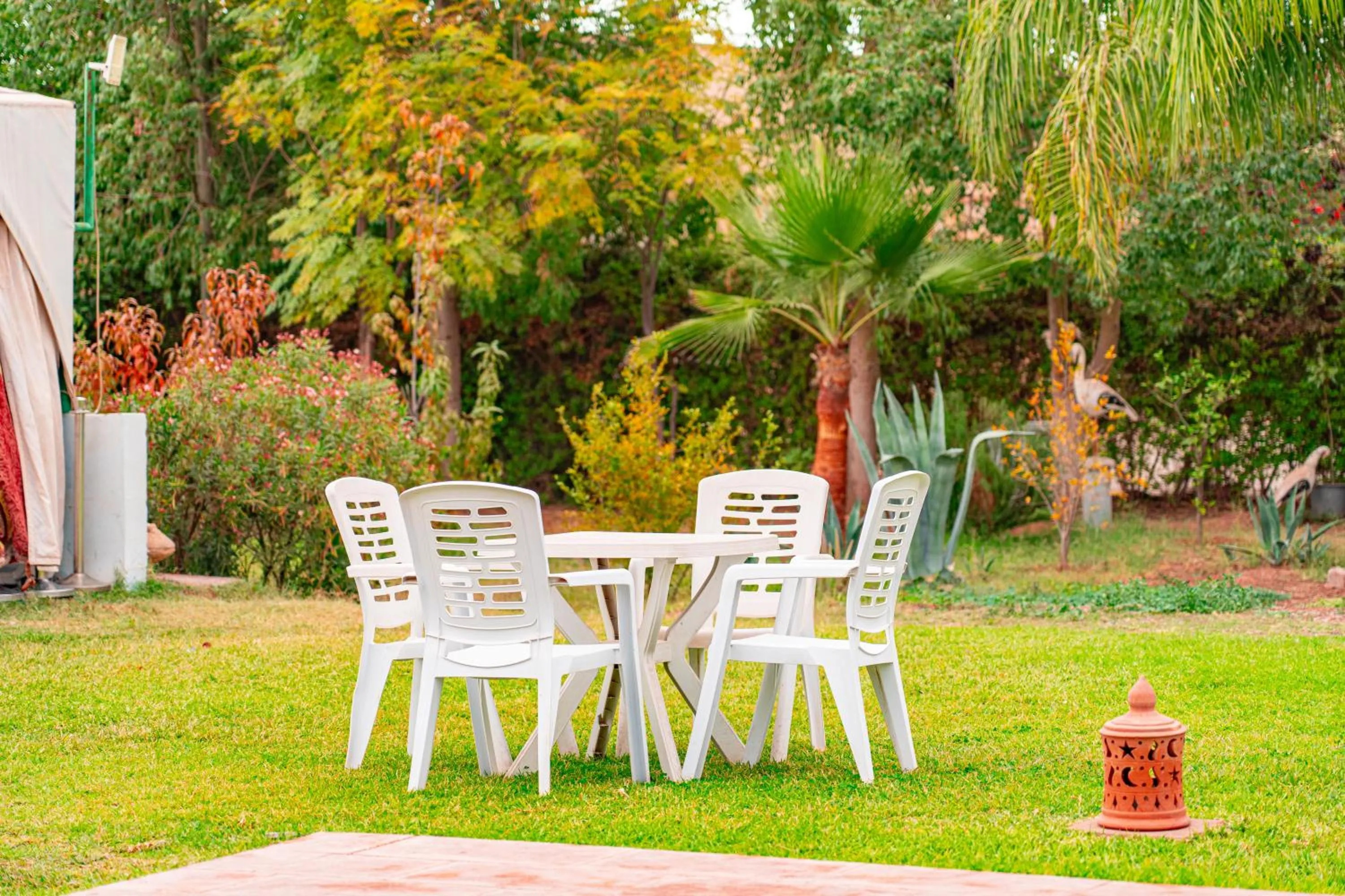 Garden in Villa Baddi Marrakech