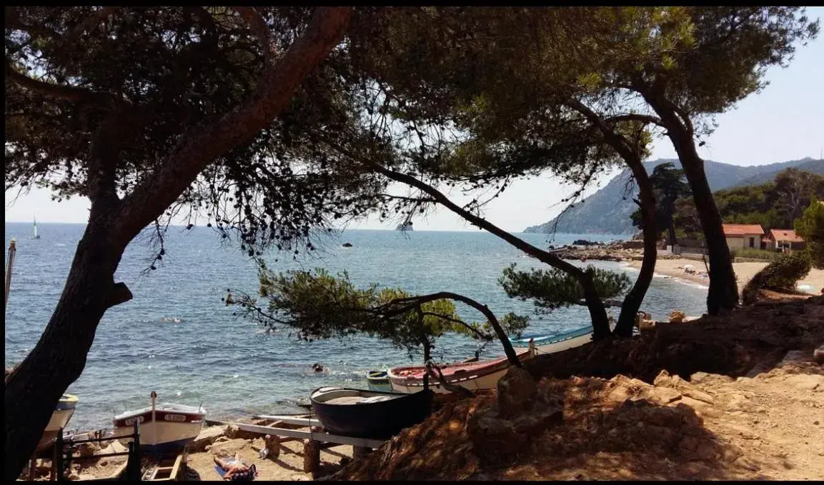 Appartement T2 à Fabregas, proche des Sablettes Appartement T2 à Fabregas, proche des Sablettes