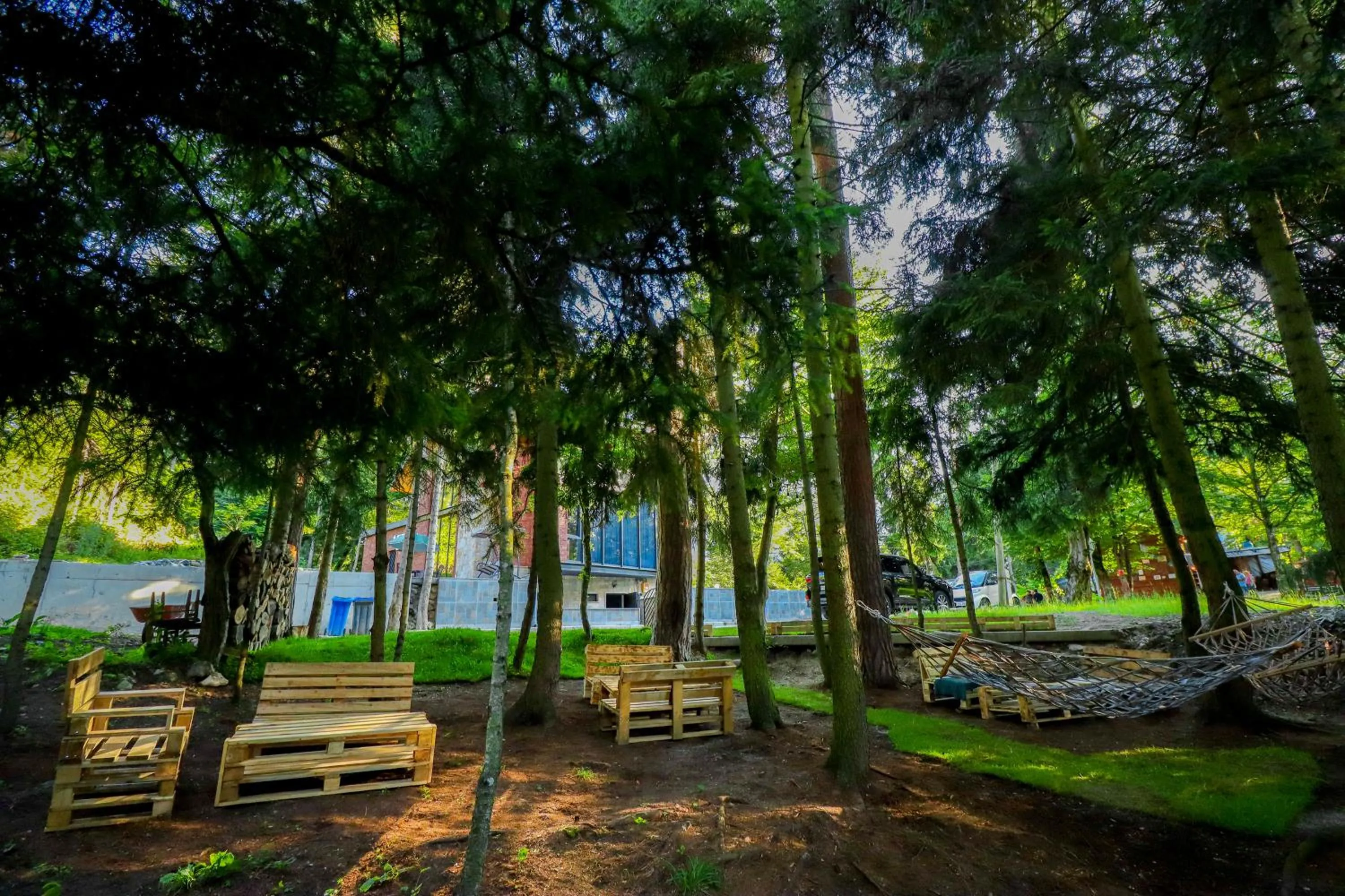 Day in Hotel Evergreen