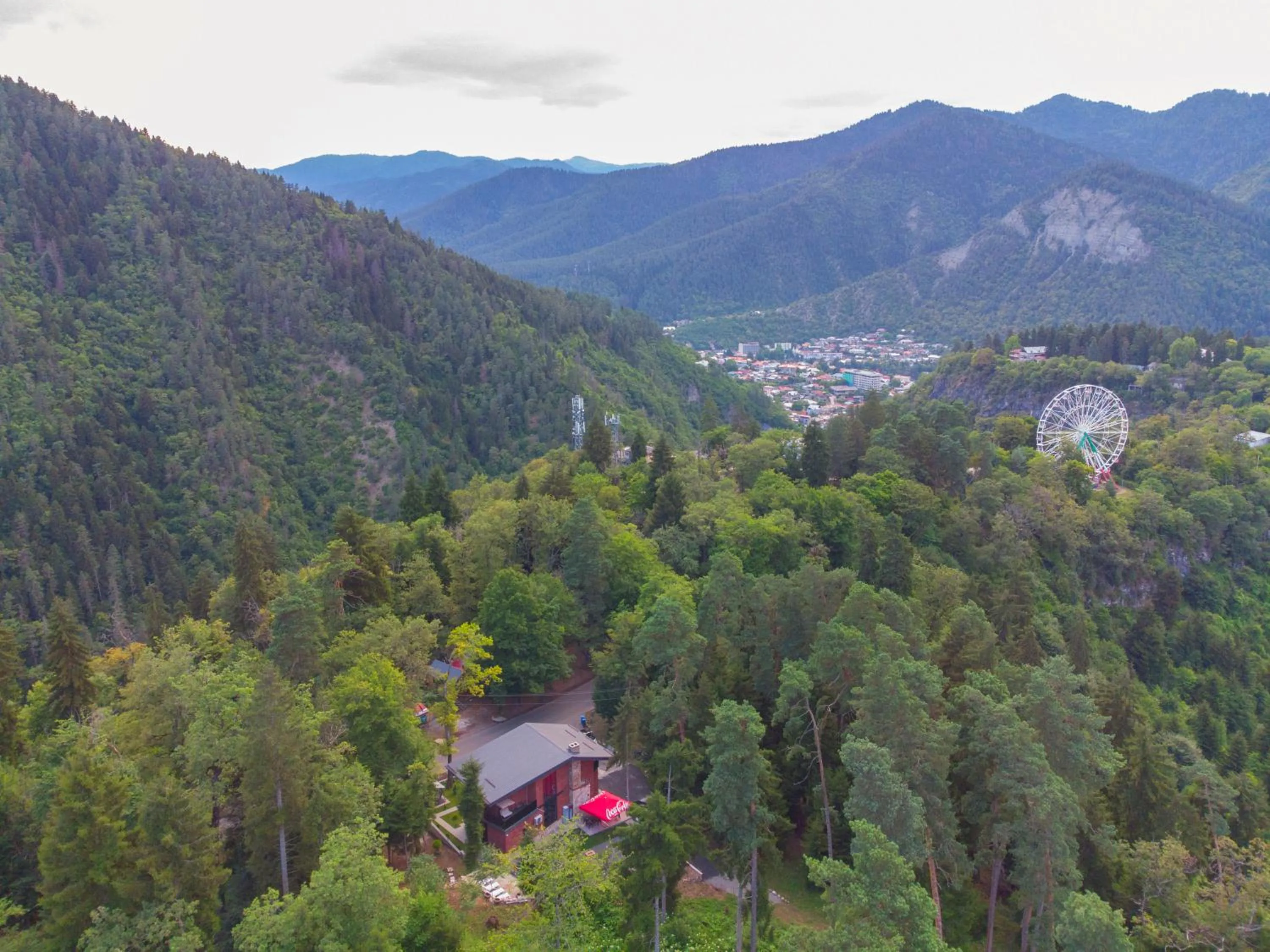 View (from property/room) in Hotel Evergreen