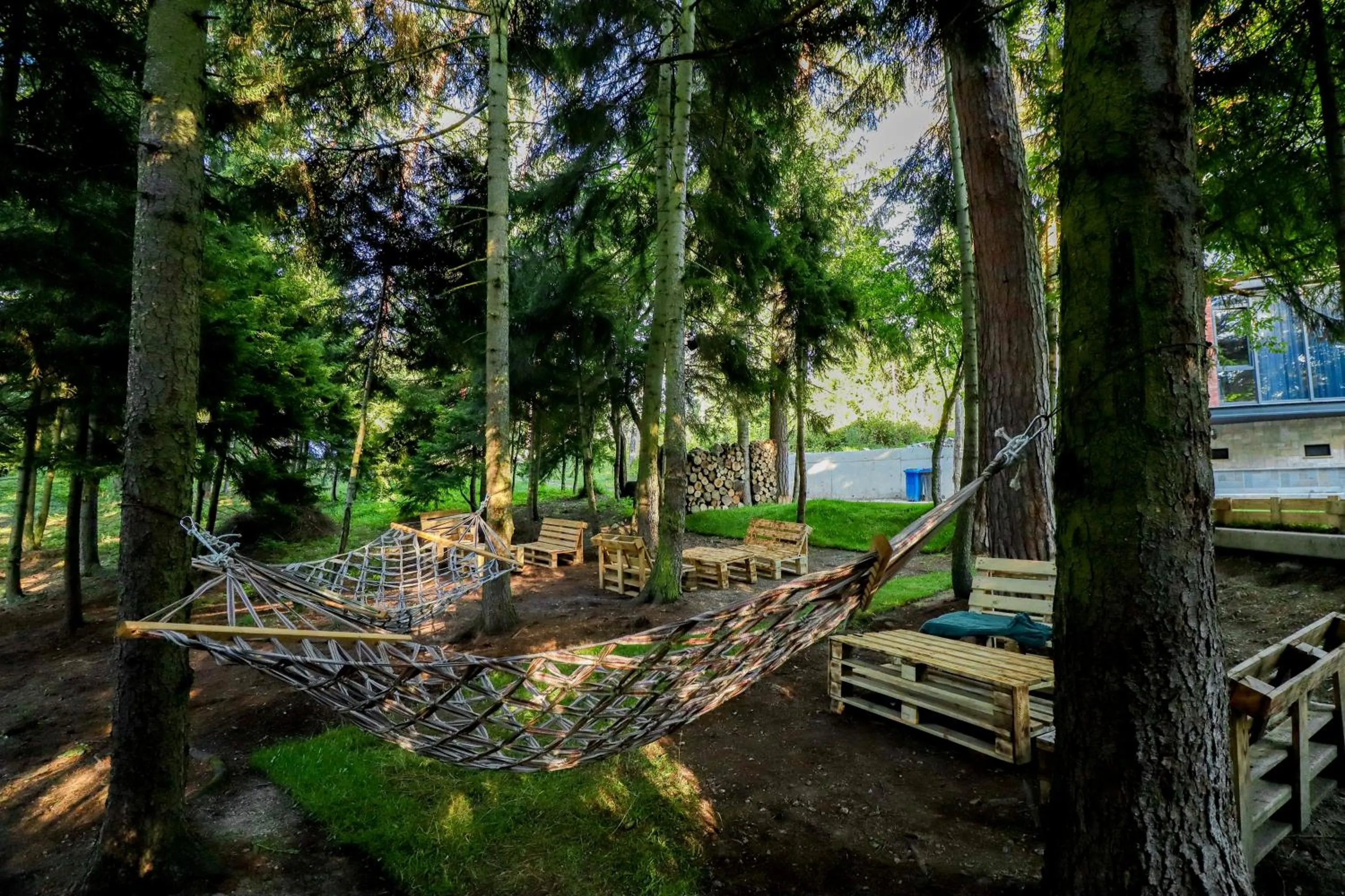 Day in Hotel Evergreen