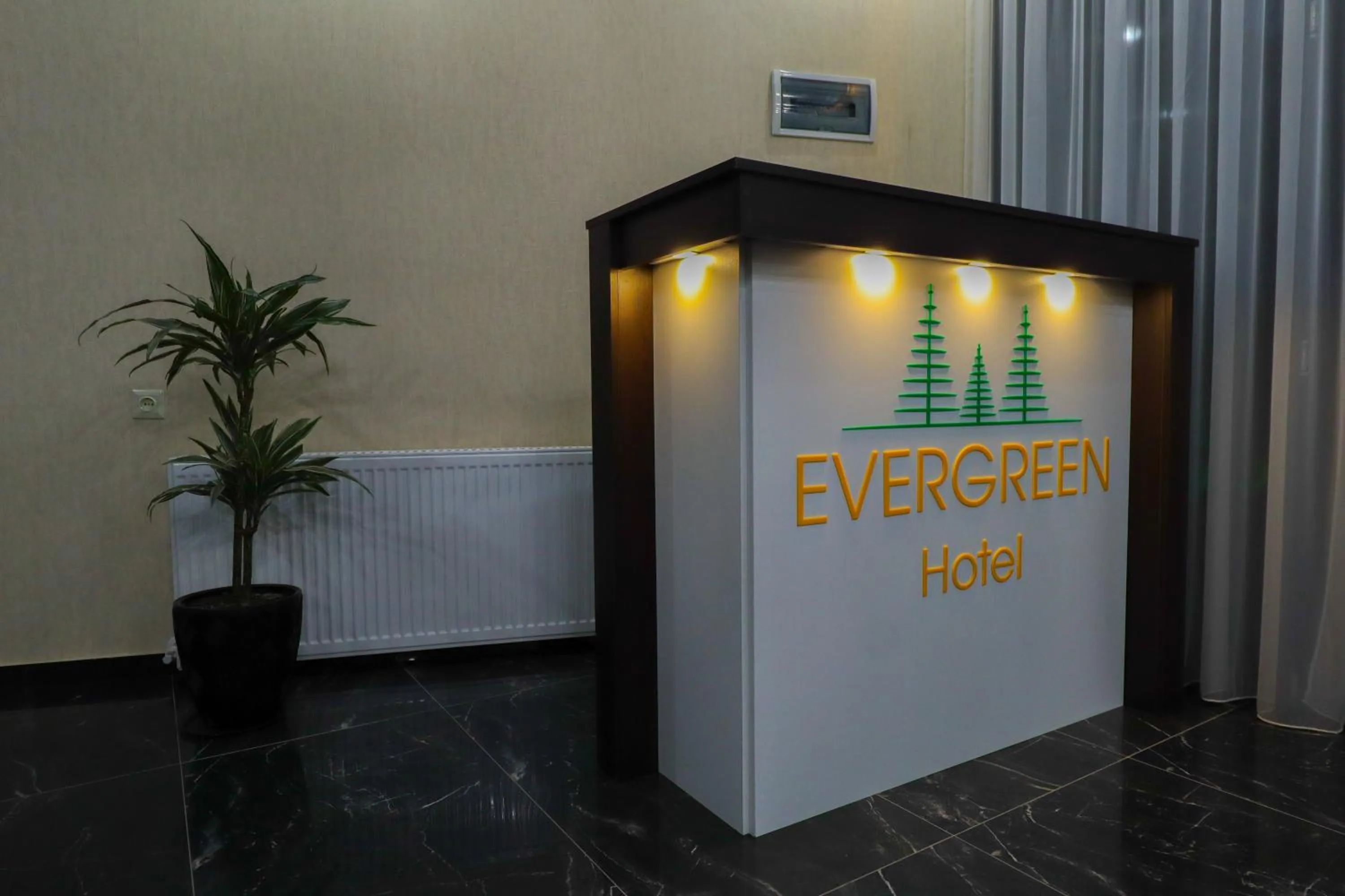 Lobby or reception in Hotel Evergreen
