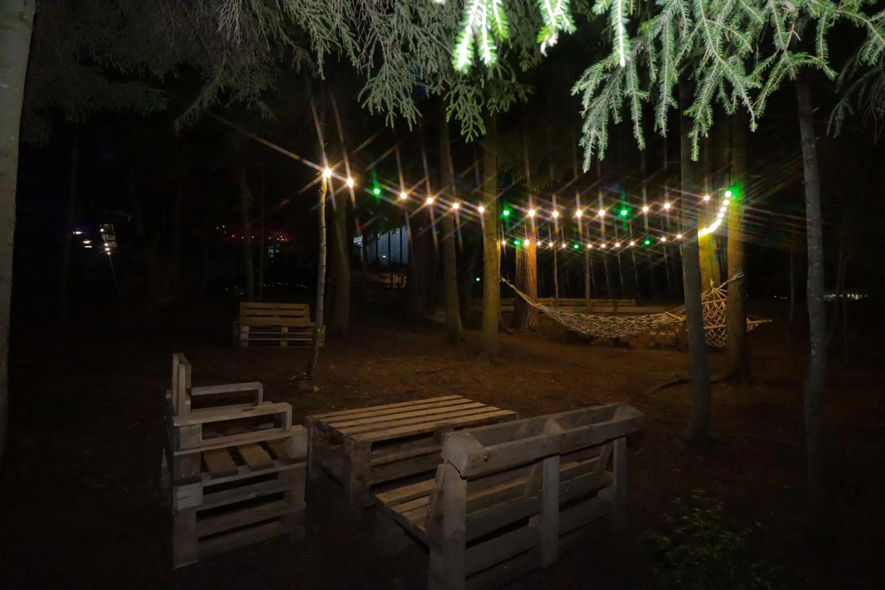 Natural landscape in Hotel Evergreen