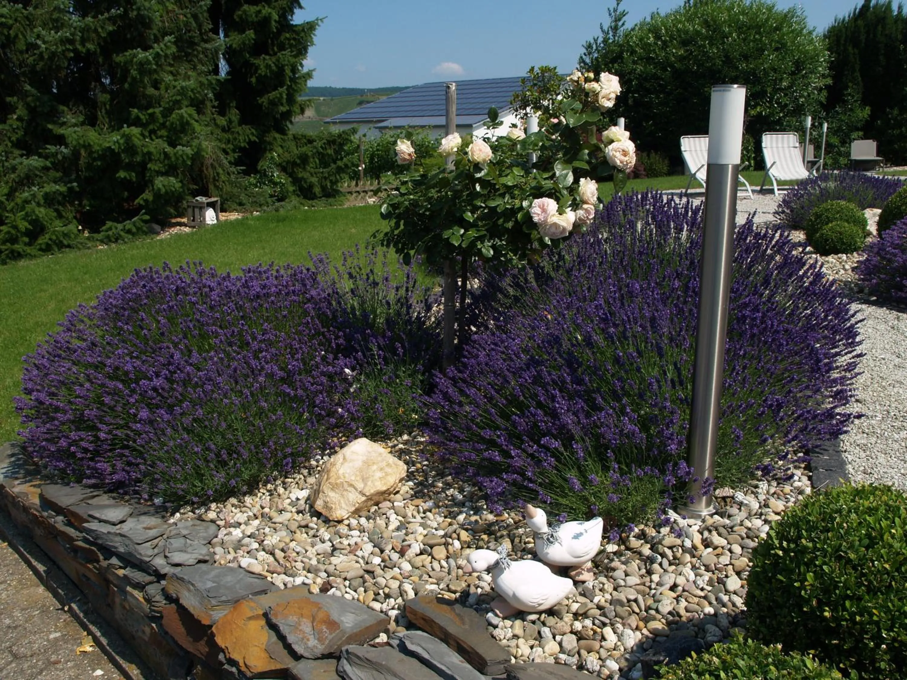 Garden in Weingut Bastian