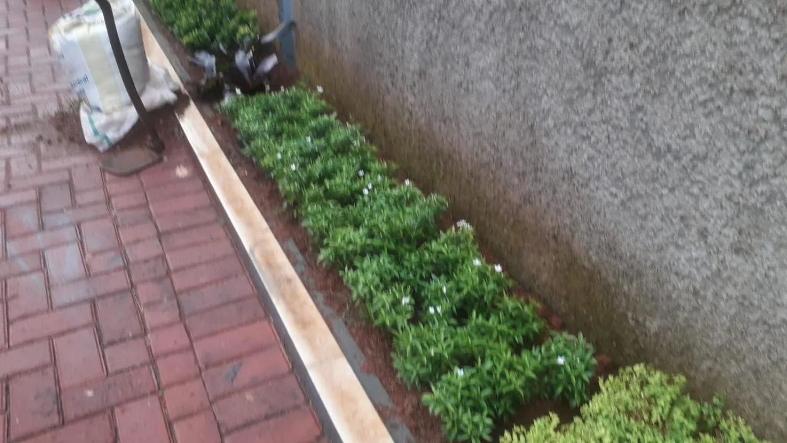 Day in Hotel Cibening