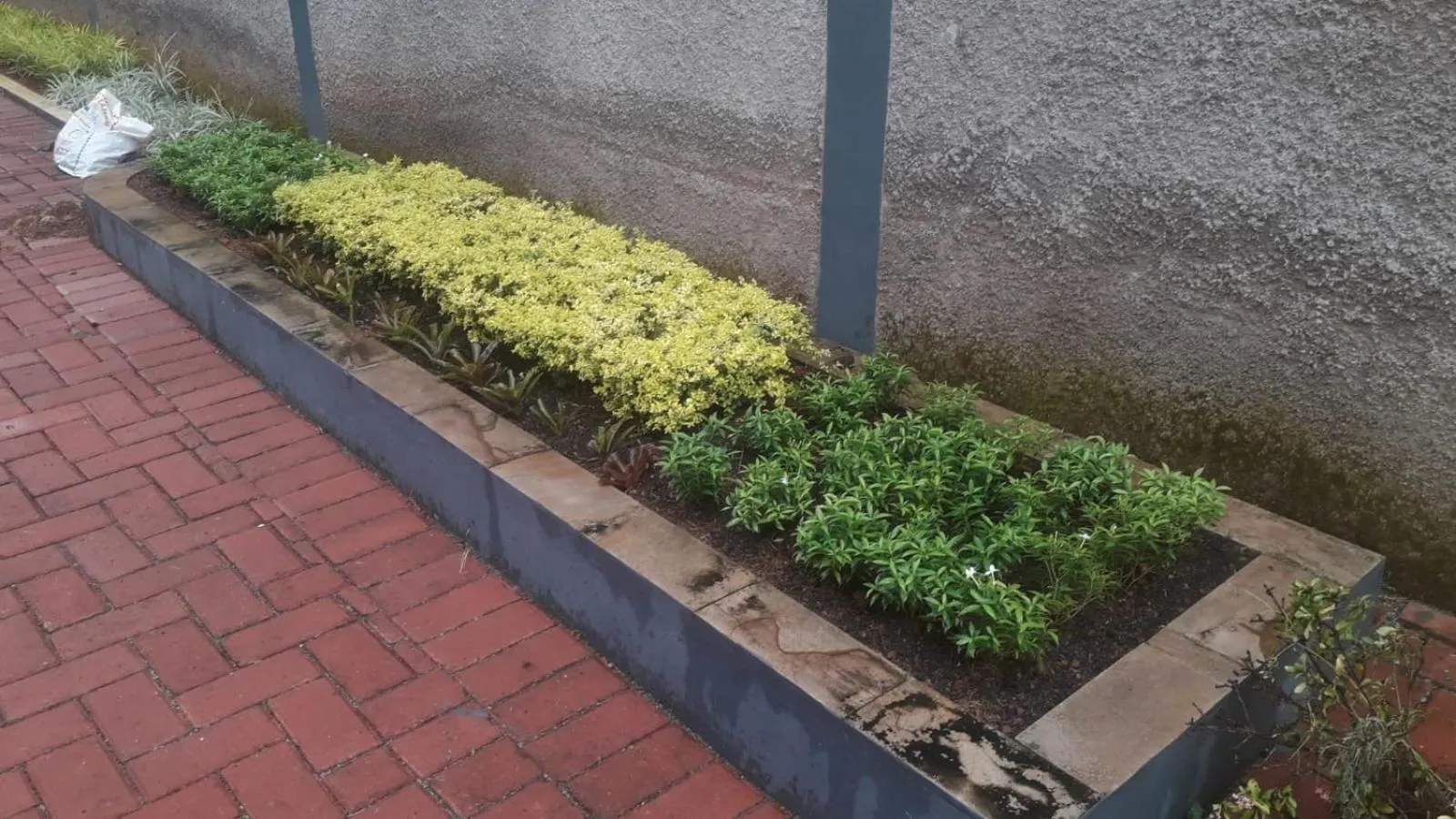 Day in Hotel Cibening