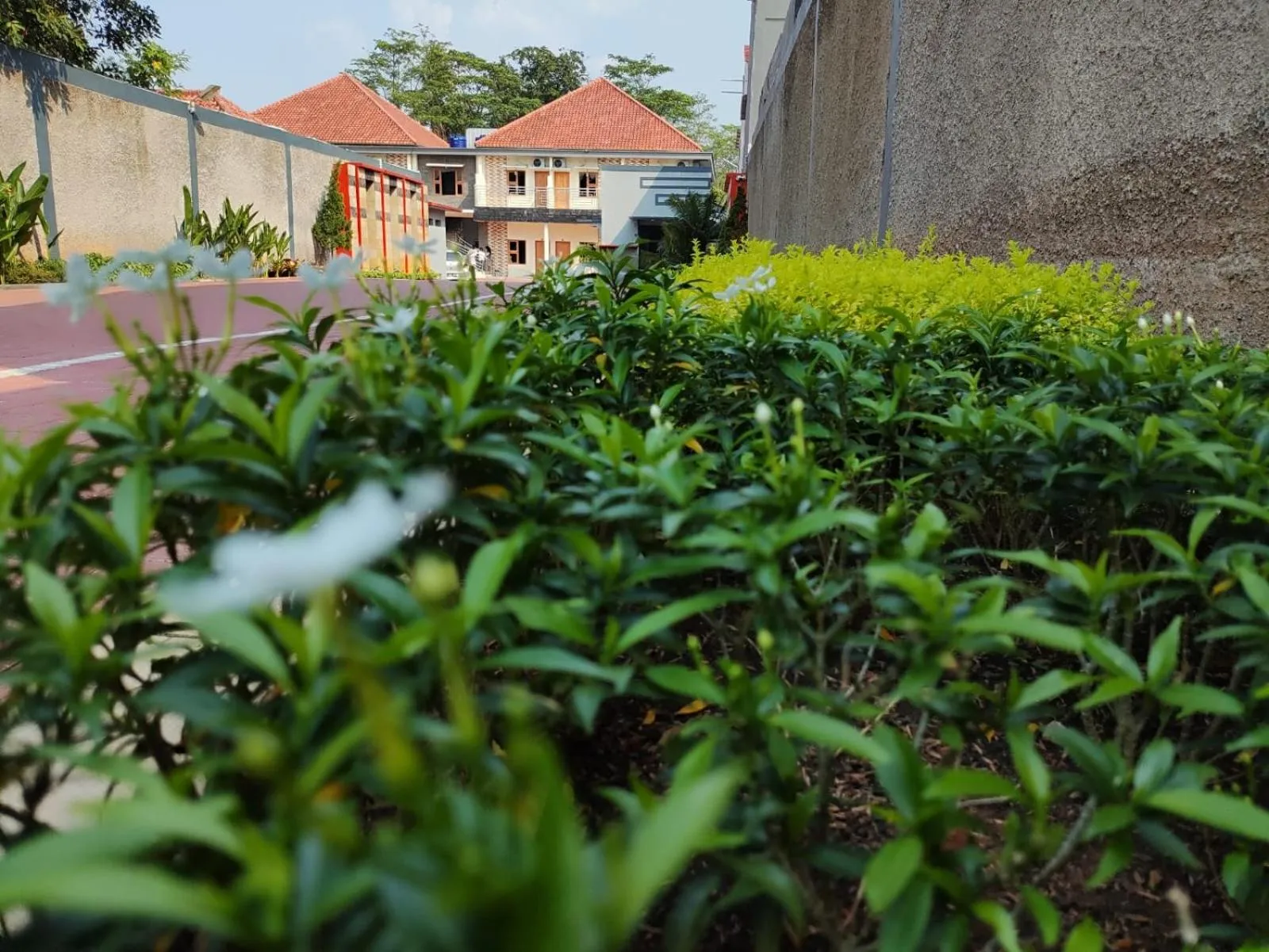 Property building in Hotel Cibening