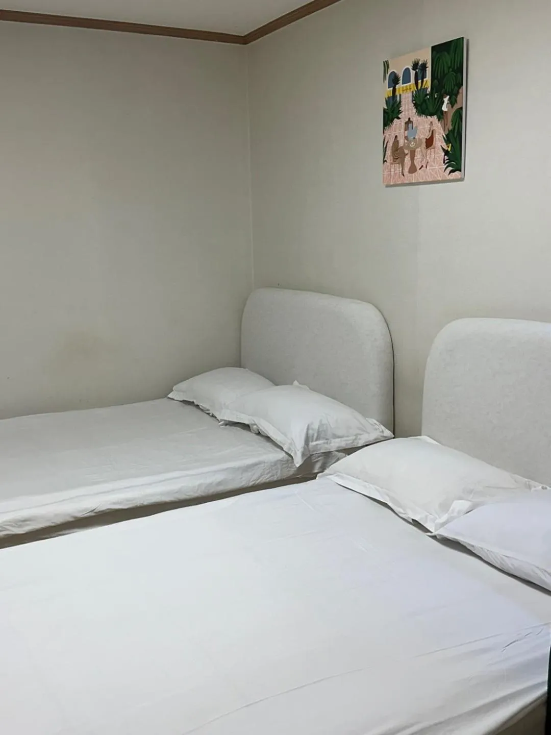 Bed in SSH Icon Hostel