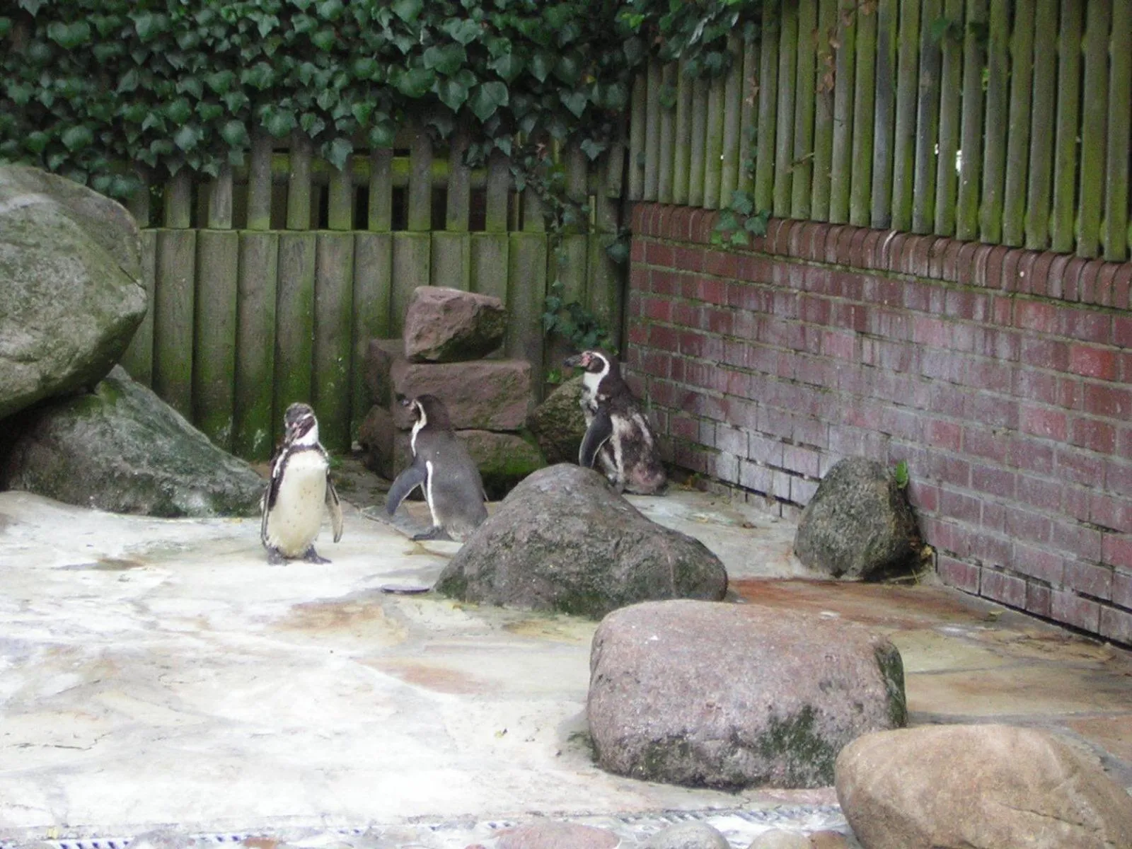 Area and facilities in Pension Döser Strand