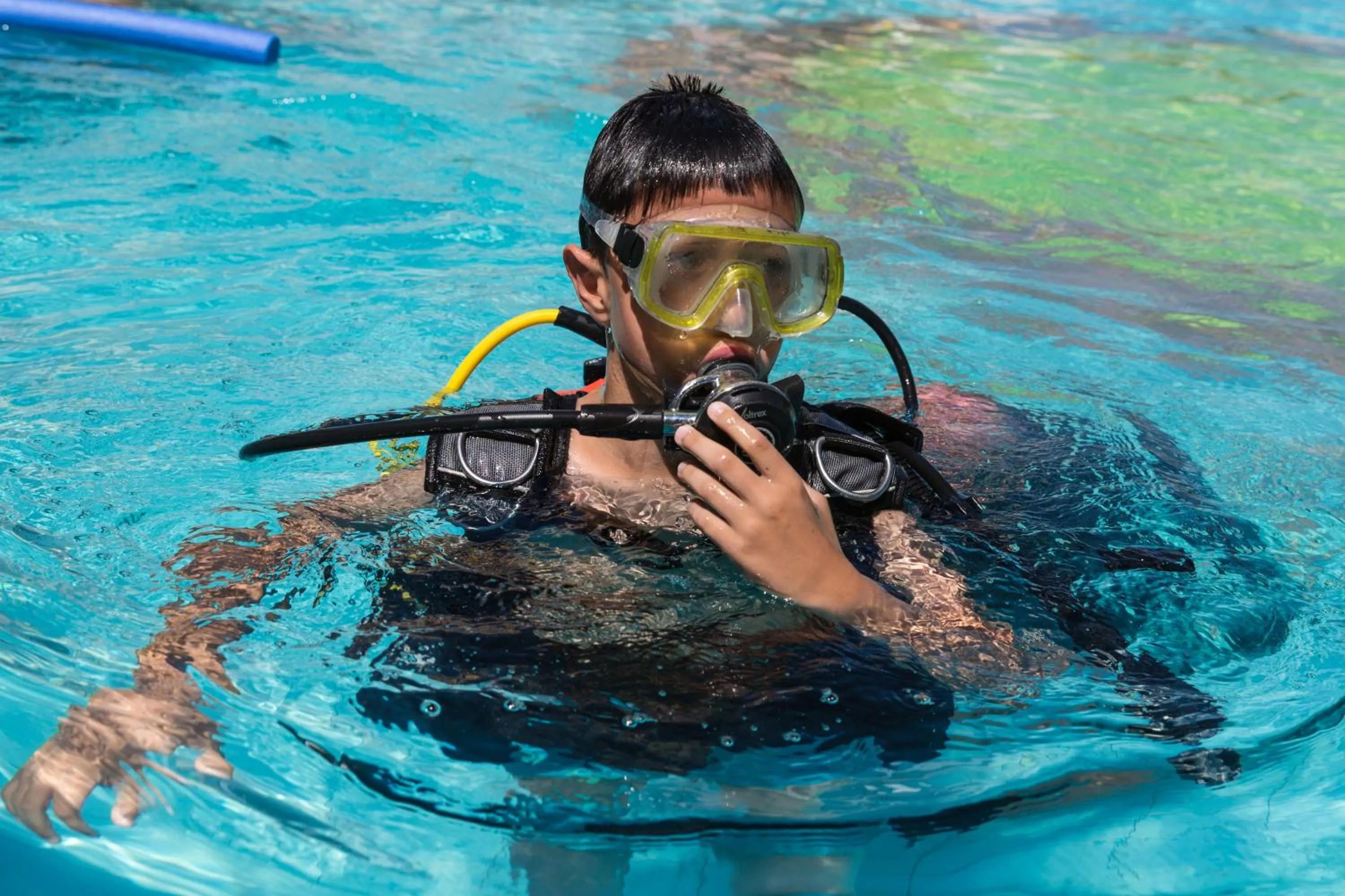 Diving in Hotel Albatros