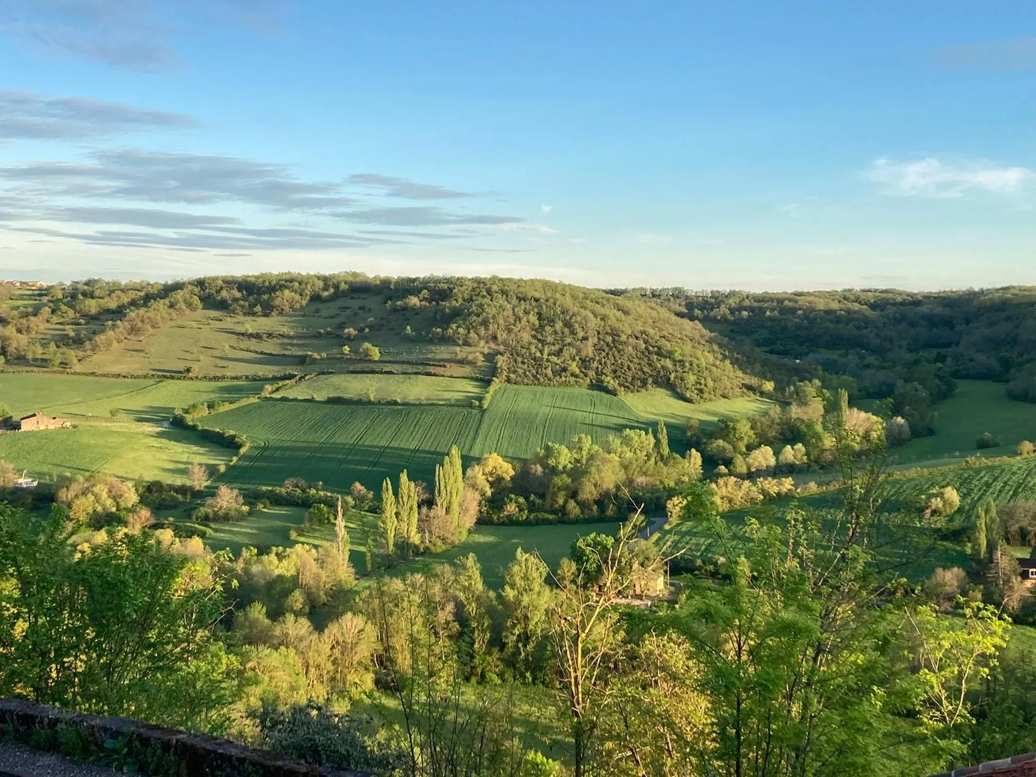 View (from property/room) in le secret du chat