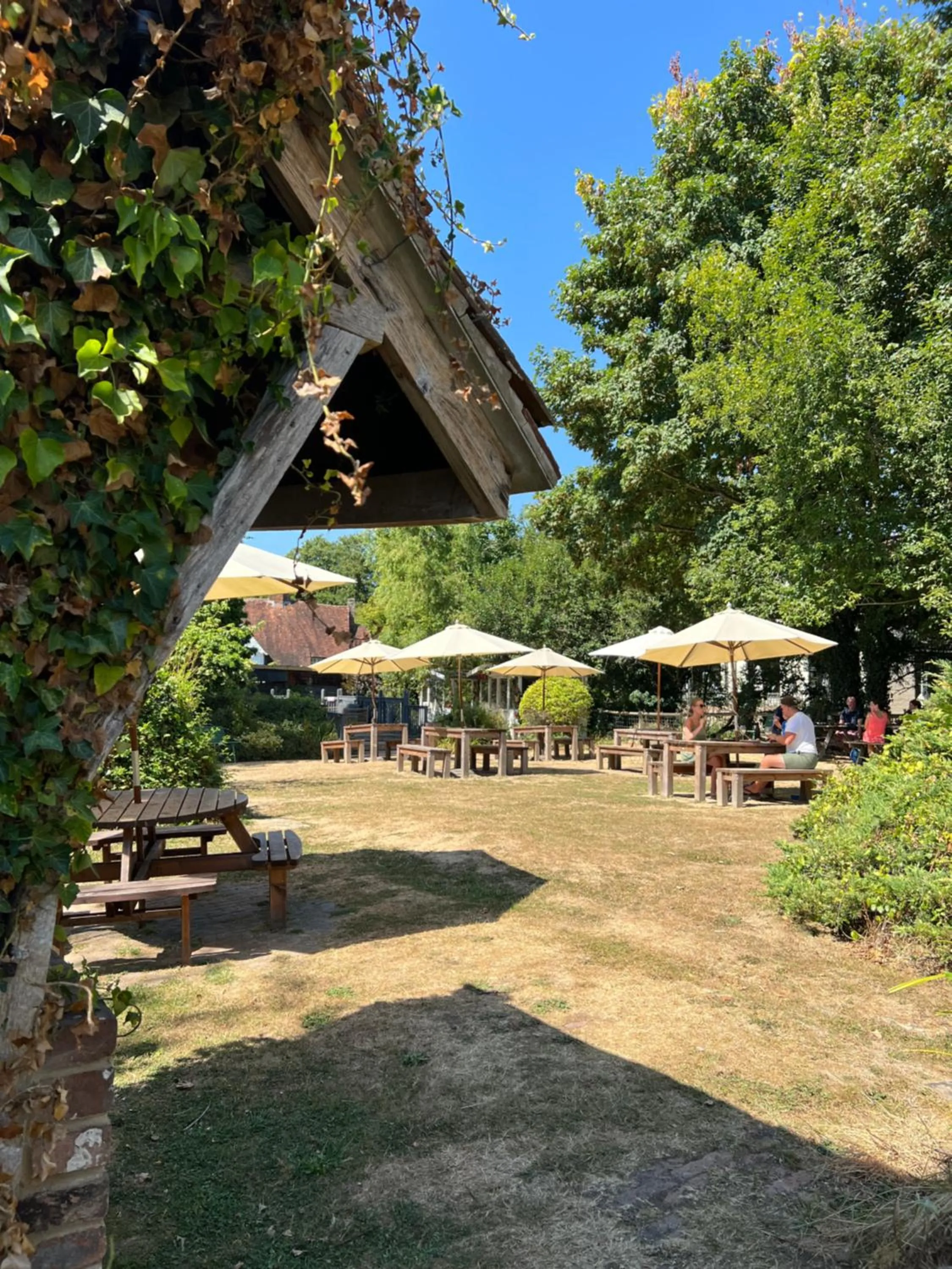 Garden in The Chequers