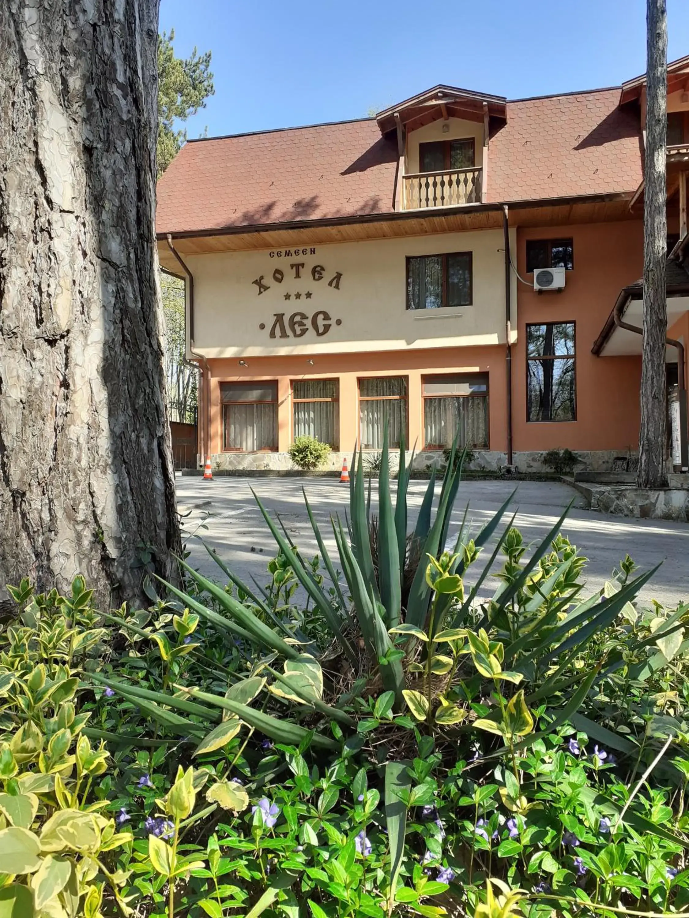 Hotel Les Hotel Les