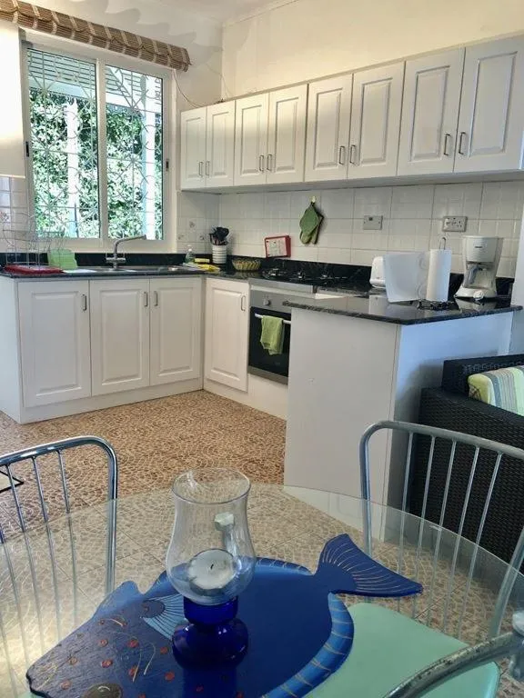 Kitchen or kitchenette in Residence Monte-Cristo