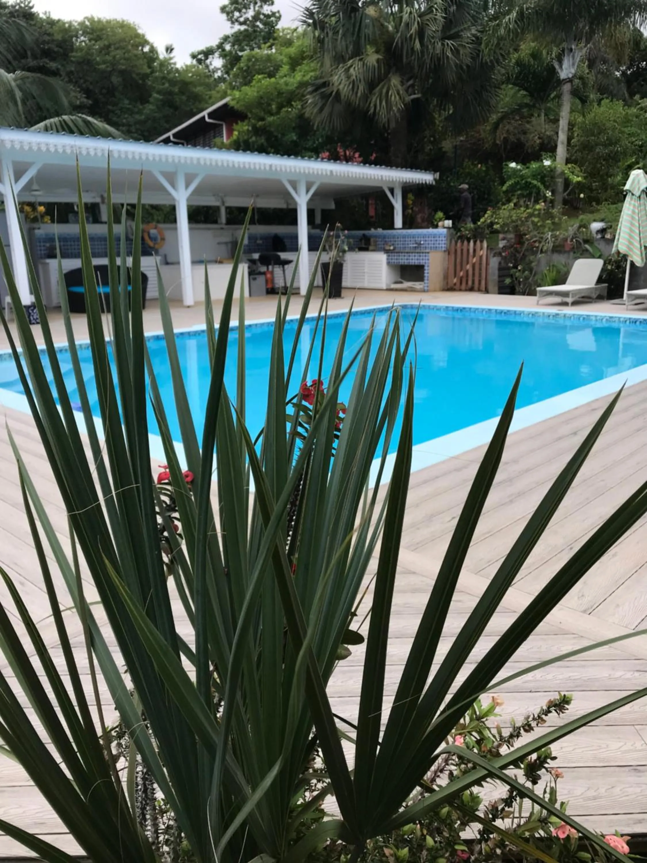 Swimming pool in Residence Monte-Cristo