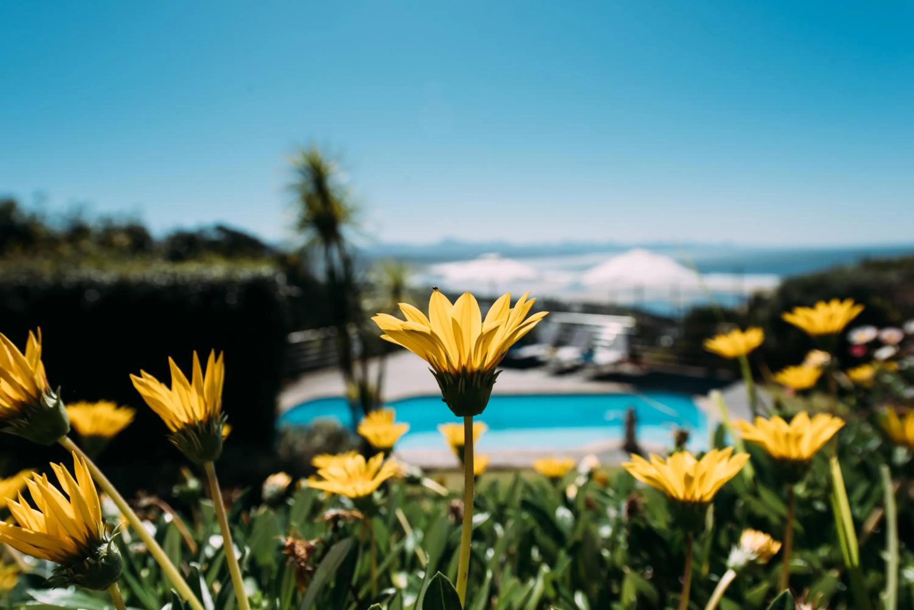 Spring in La Vista Lodge