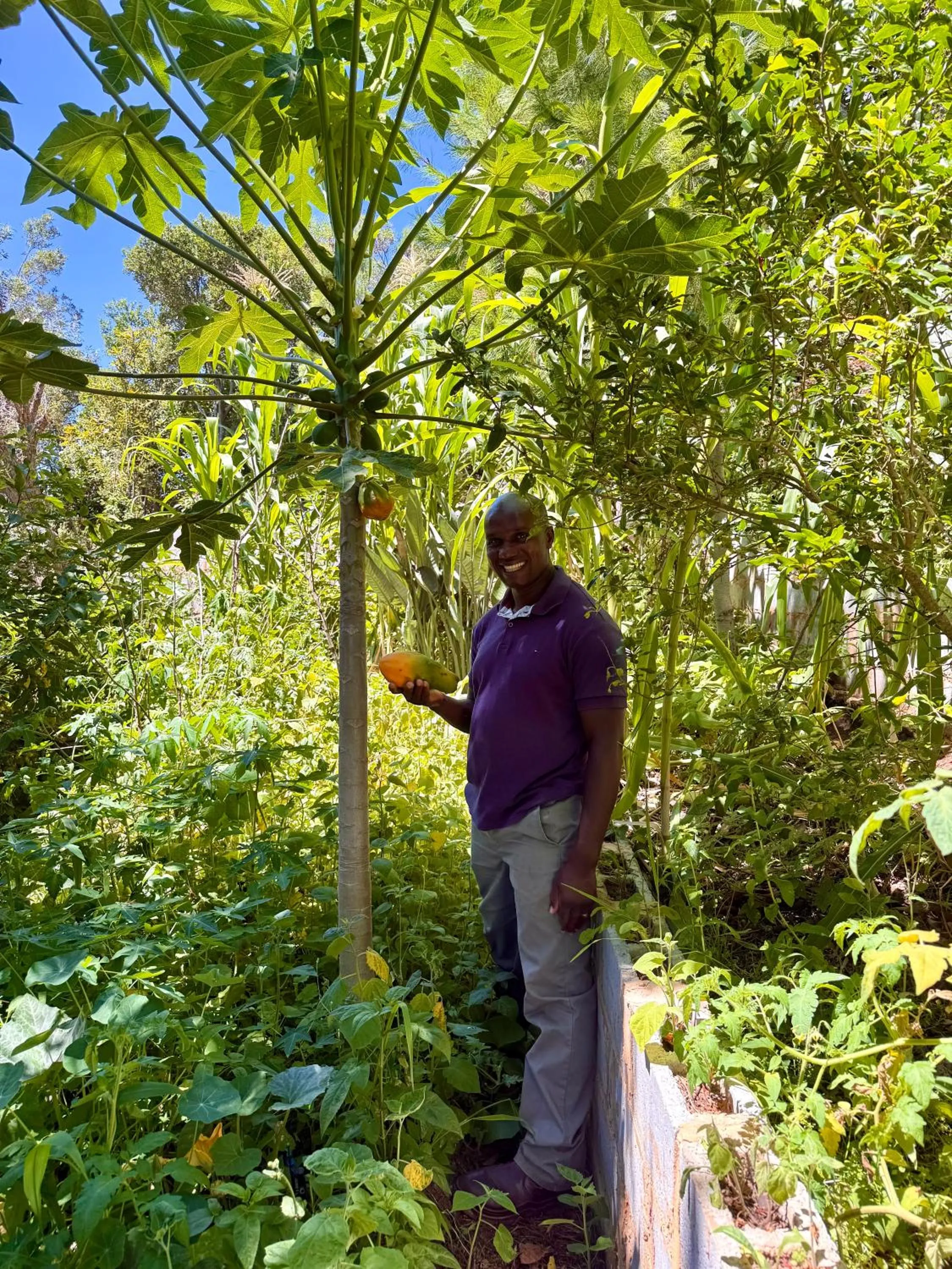 Garden in La Vista Lodge