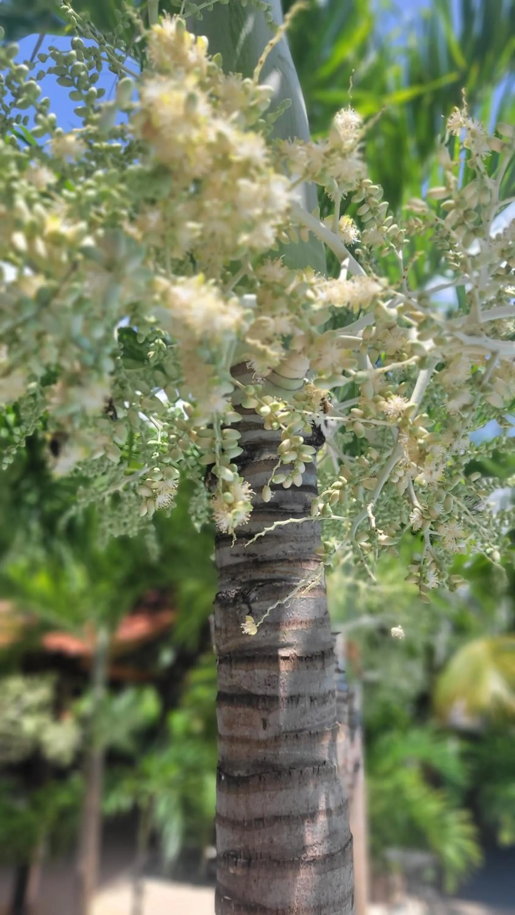 Patio in Green Oasis Hotel