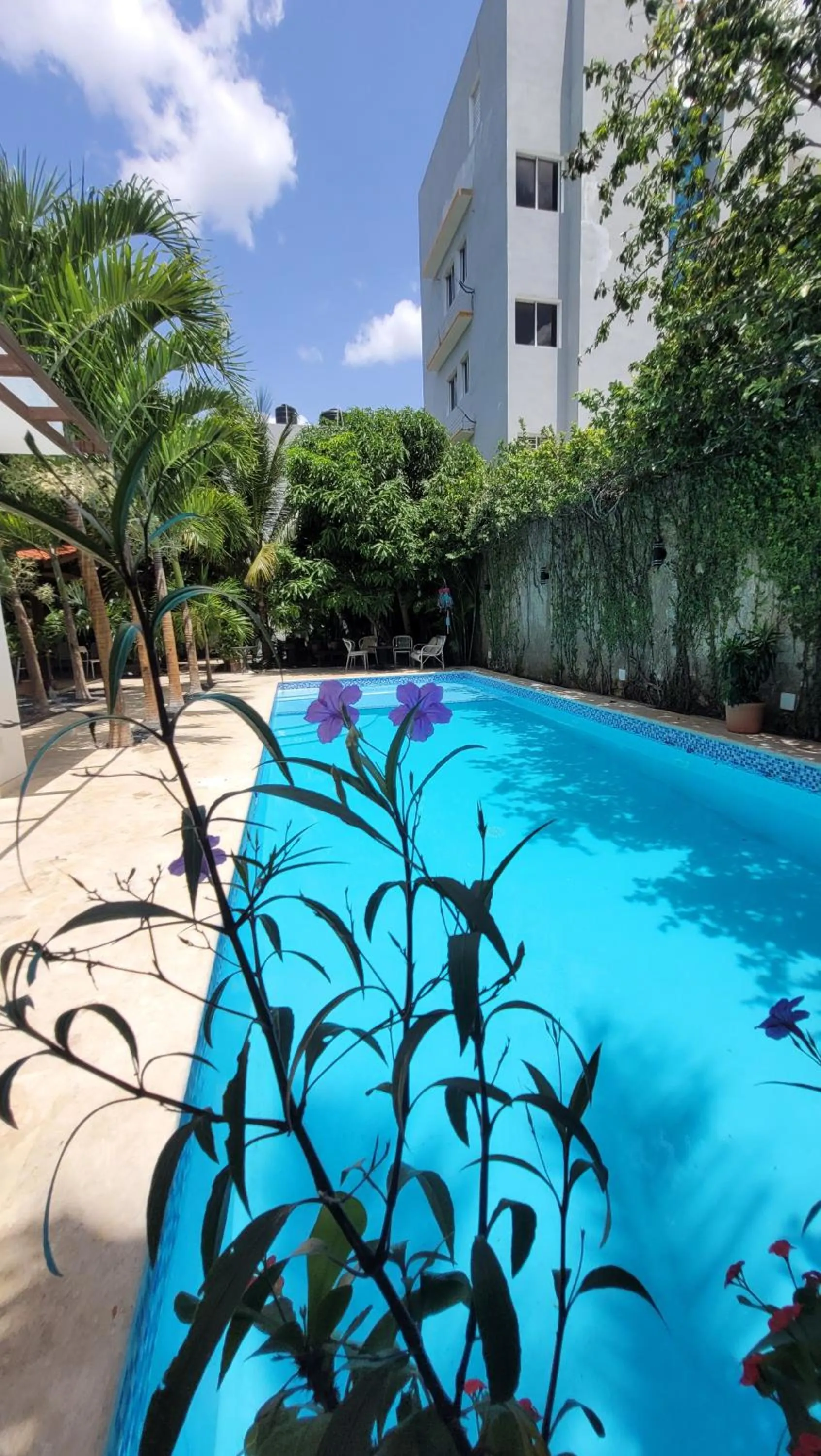 Swimming pool in Green Oasis Hotel