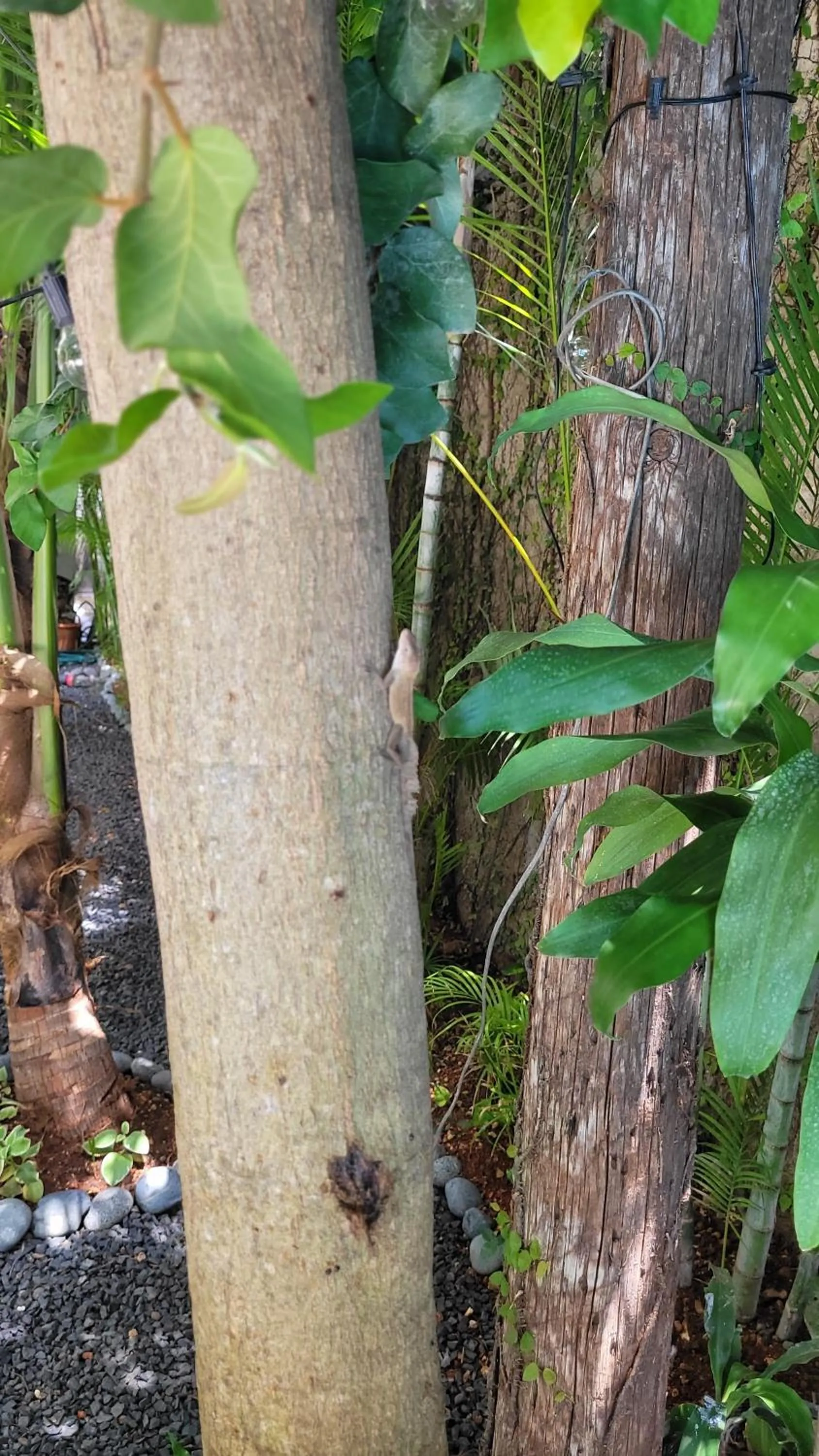 Patio in Green Oasis Hotel