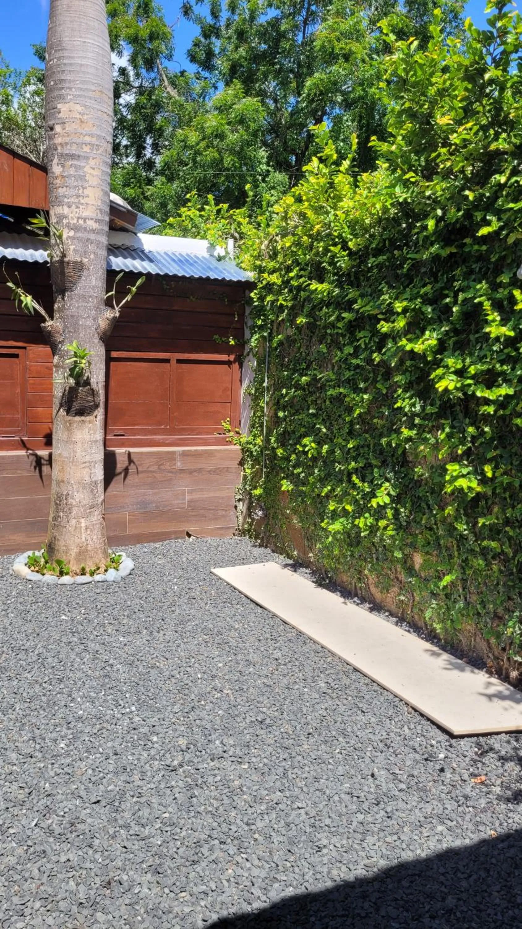 Patio in Green Oasis Hotel