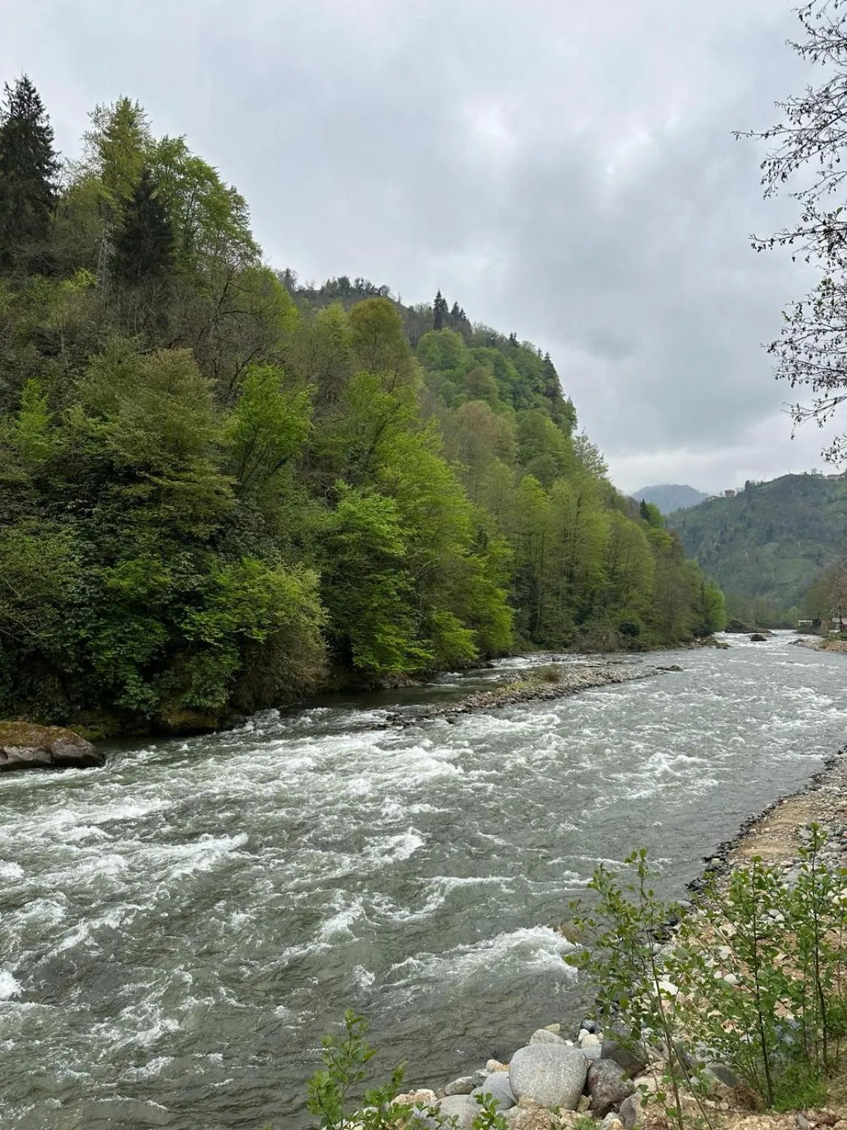 Ria süit otel bungalov