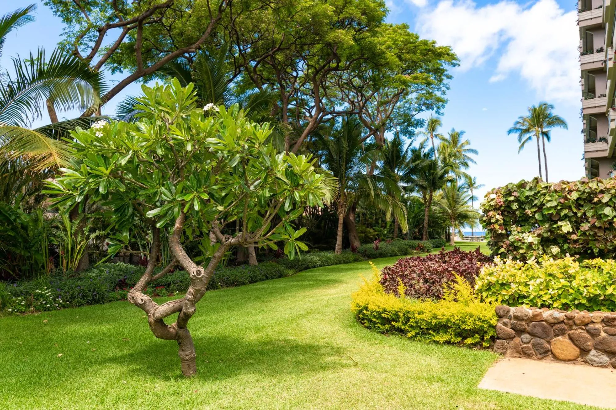Garden in The Whaler Resort