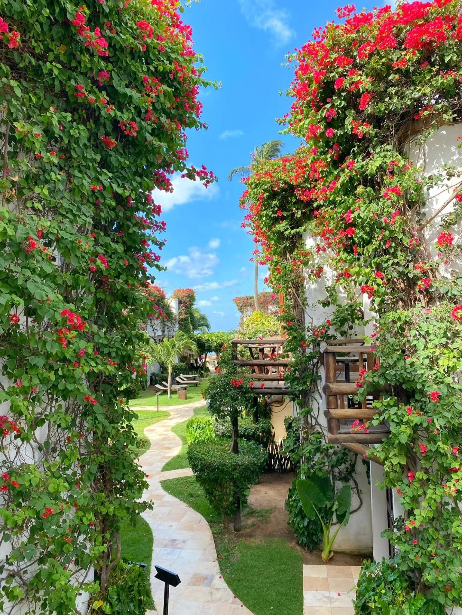 Garden in Enjoy Jeri Praia