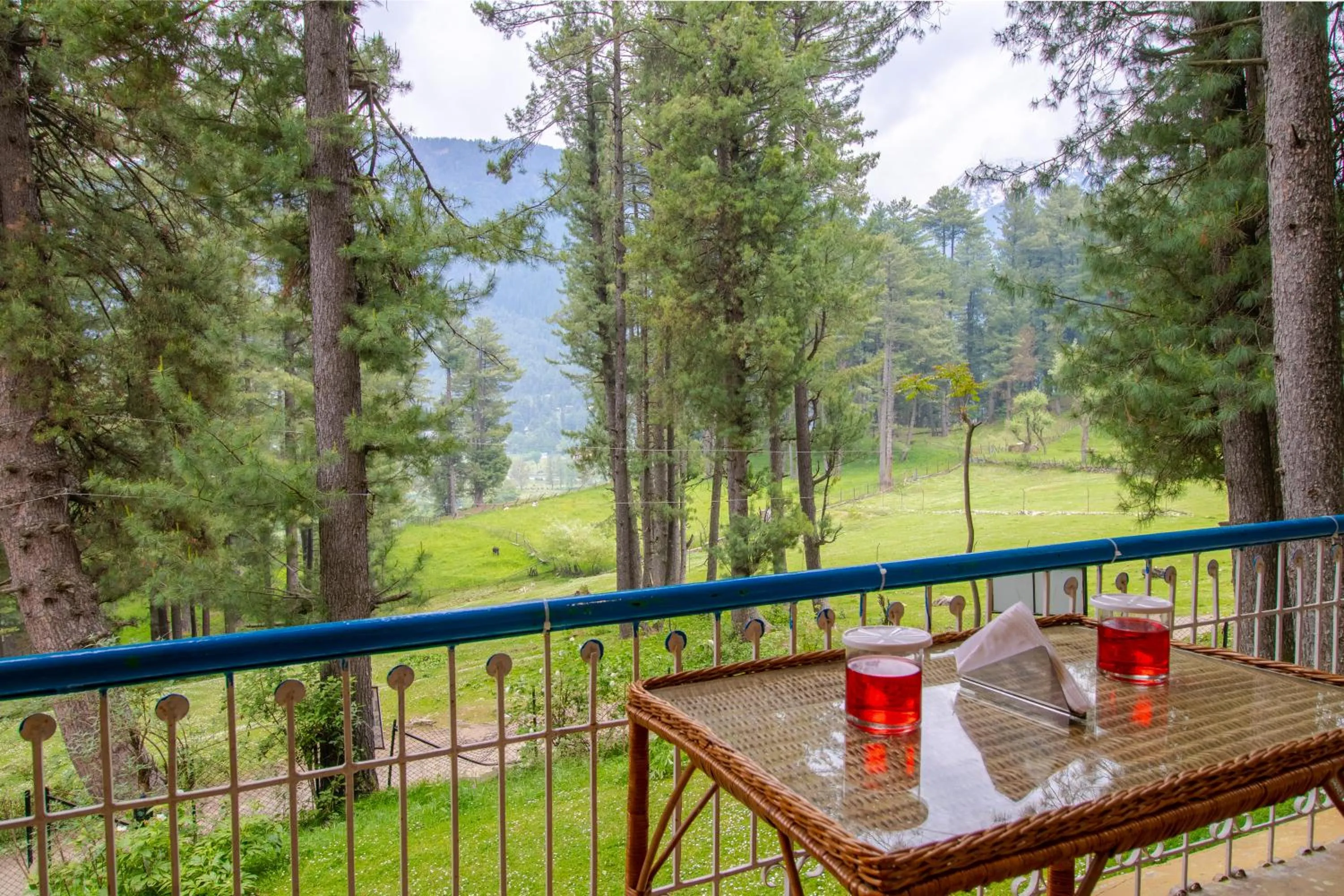Balcony/Terrace in Hotel Little Silver