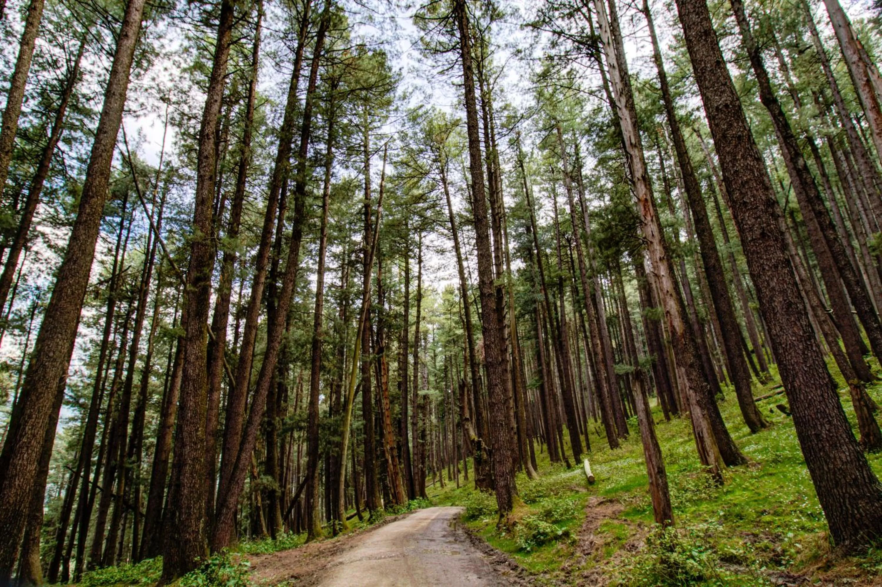 View (from property/room) in Hotel Little Silver