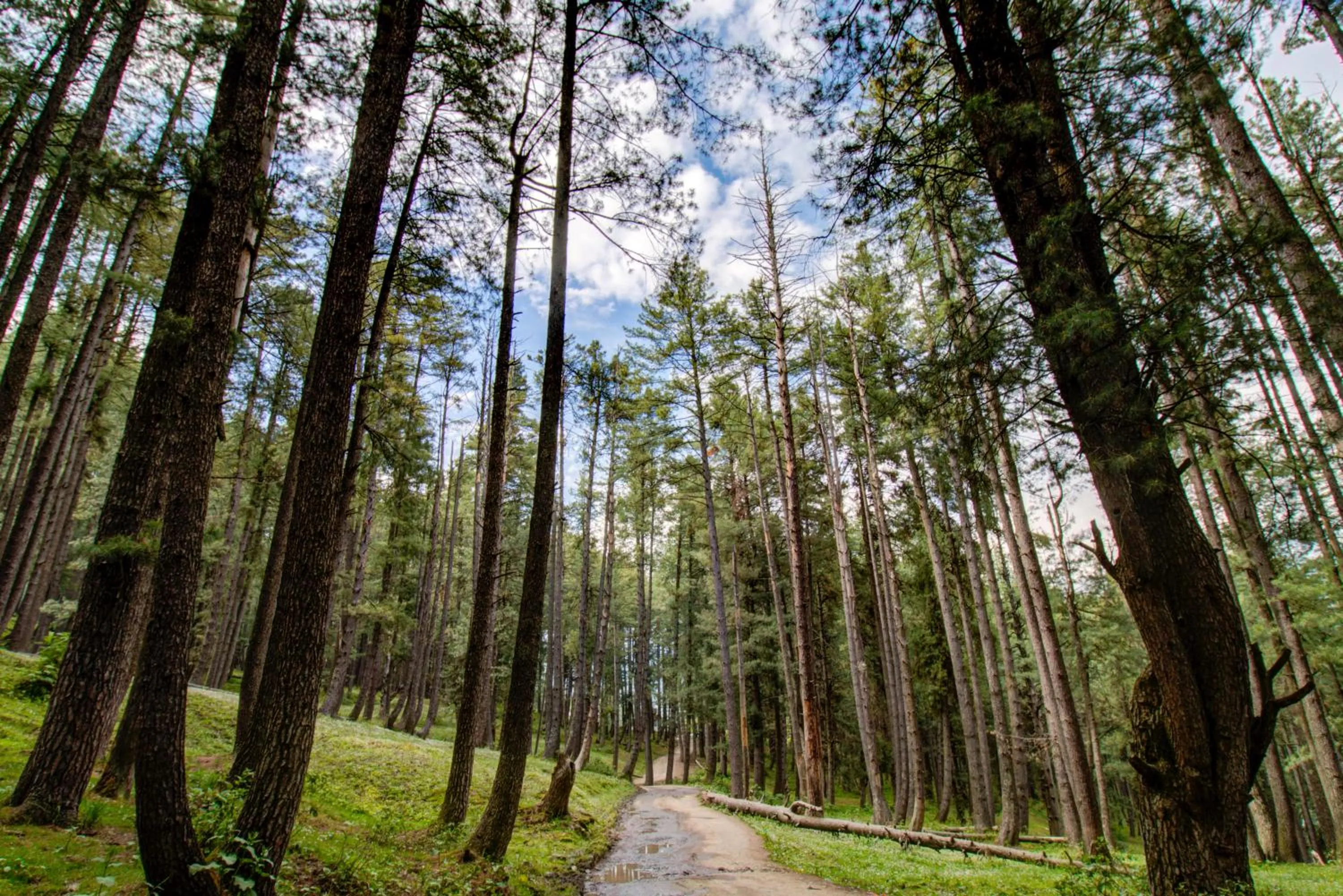 View (from property/room) in Hotel Little Silver