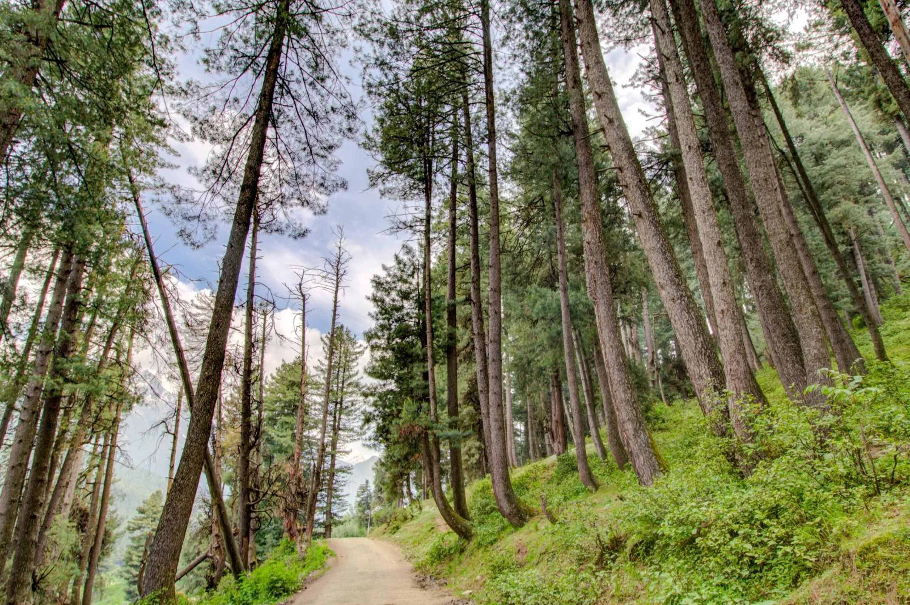 View (from property/room) in Hotel Little Silver