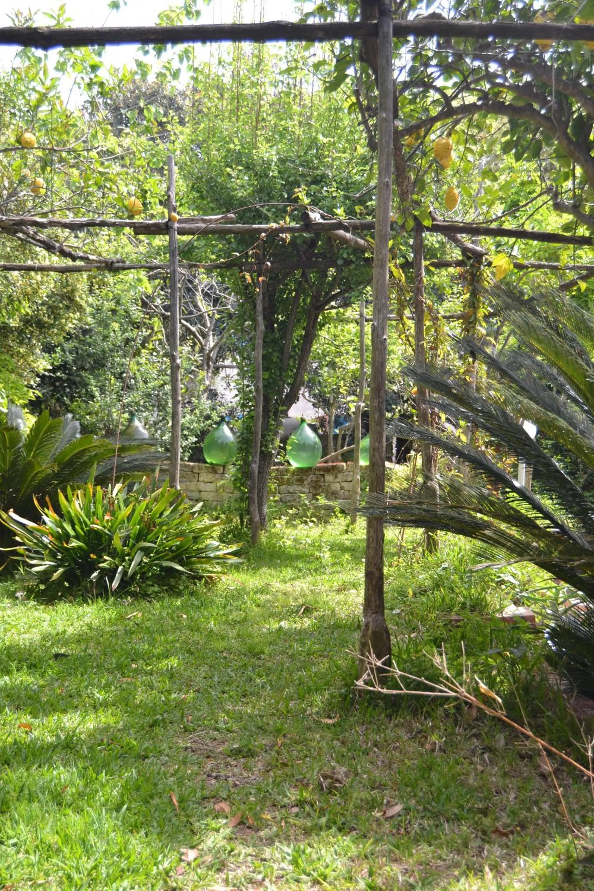 Garden in Piccolo Tirreno Hotel Residence