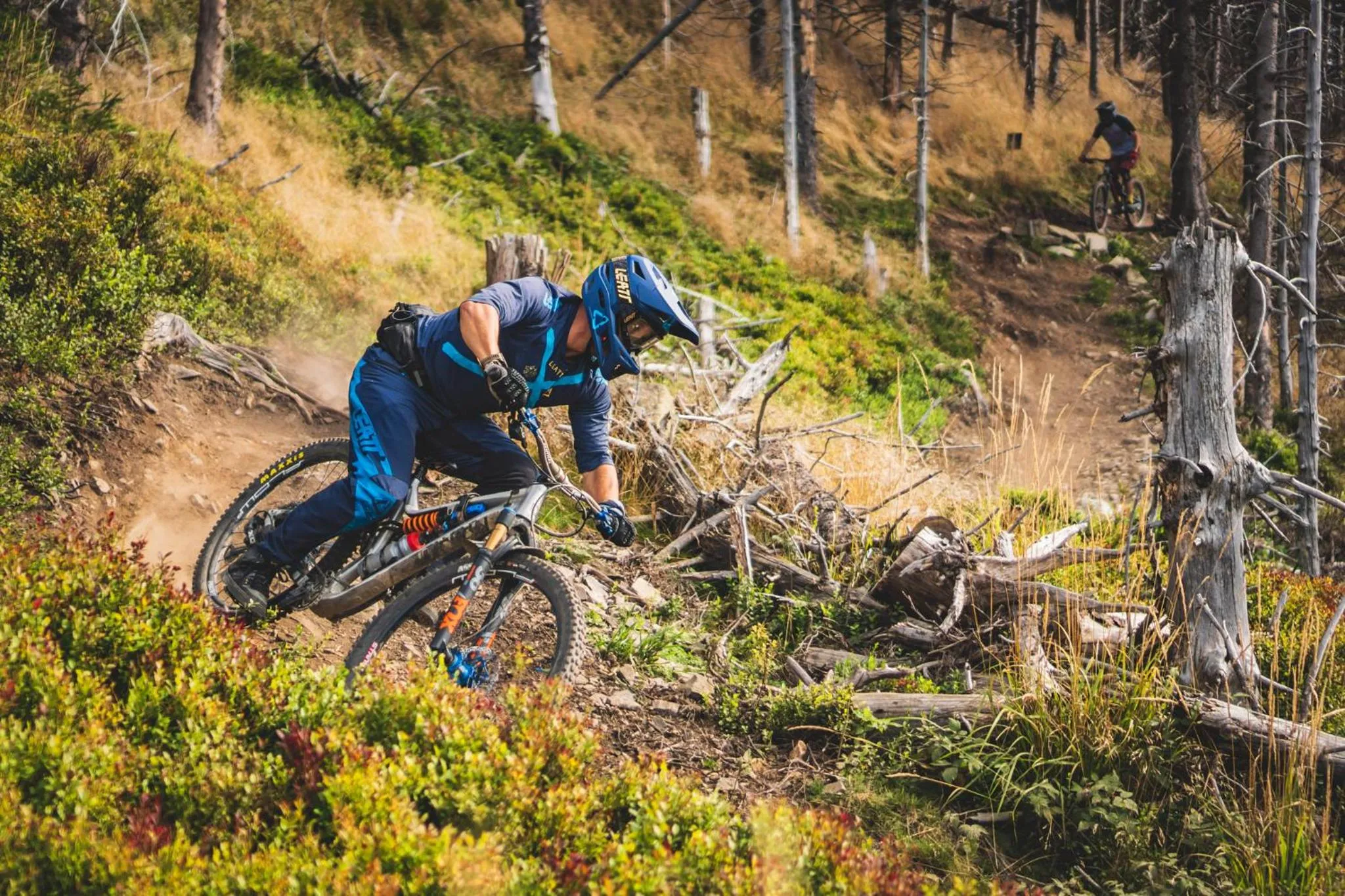 Cycling in XYZ eXtreme You Zen