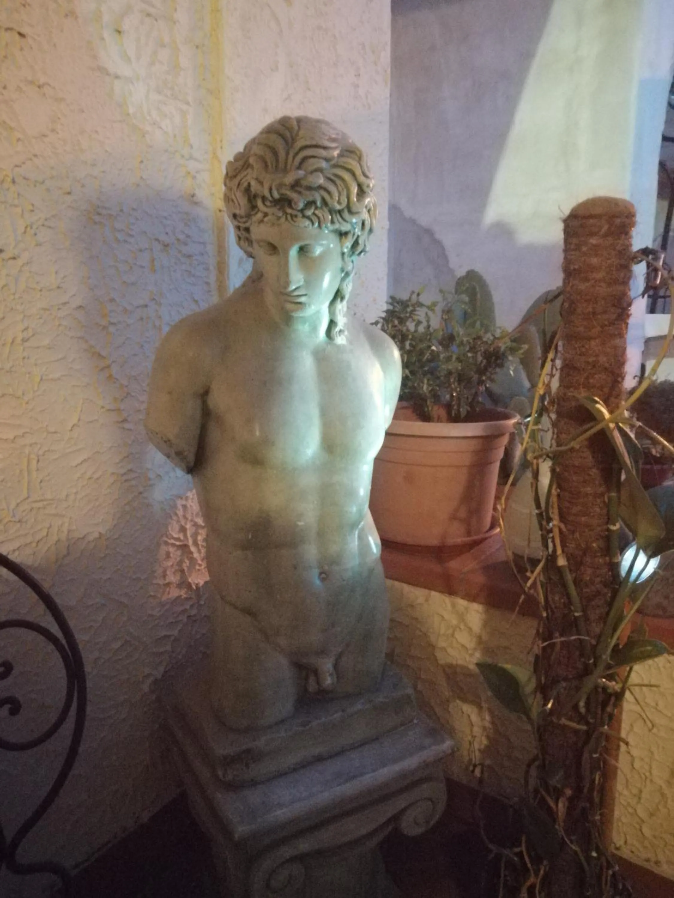 B&B Moscani