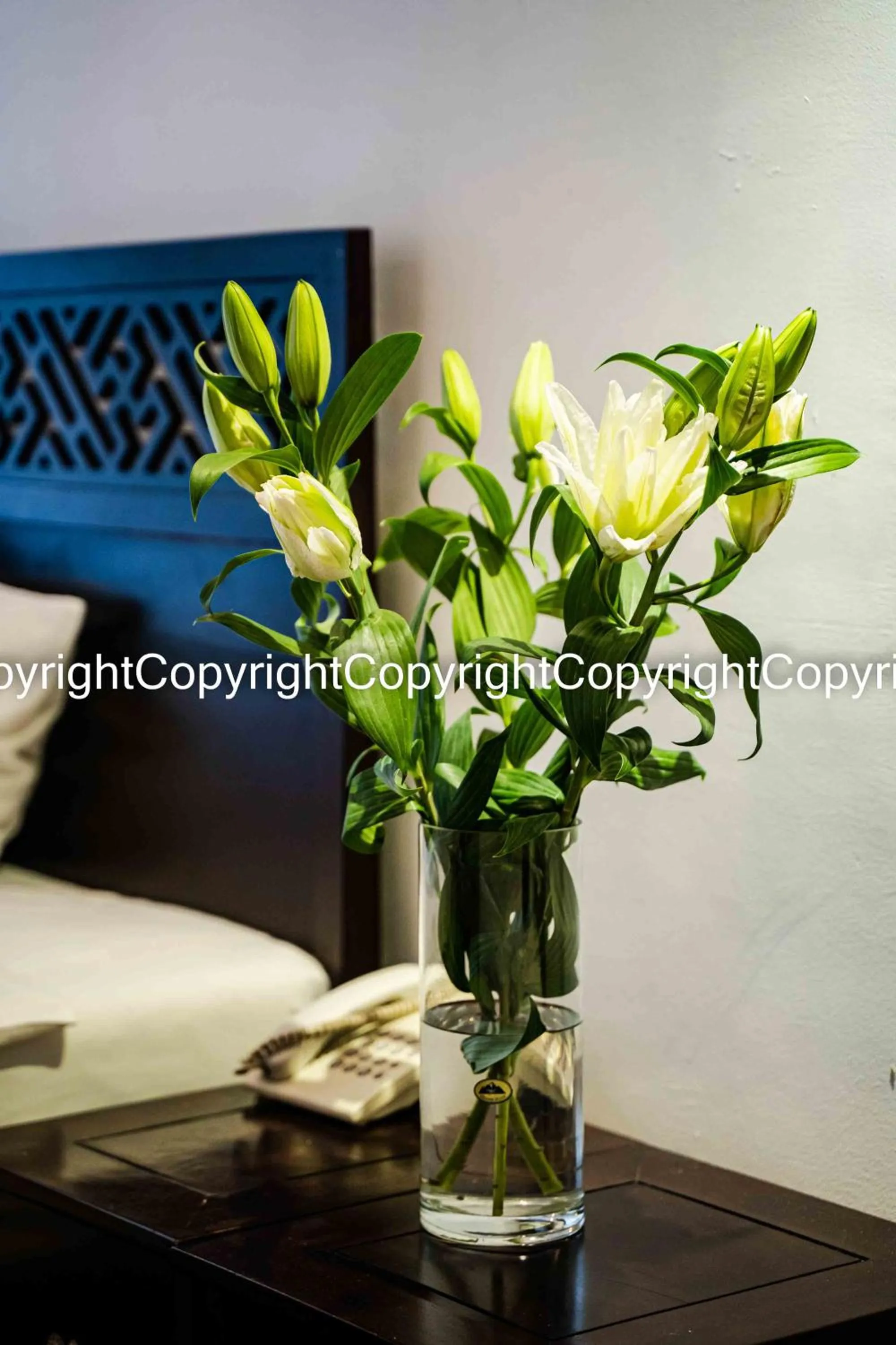 Wild Lotus Hotel & Travel 2