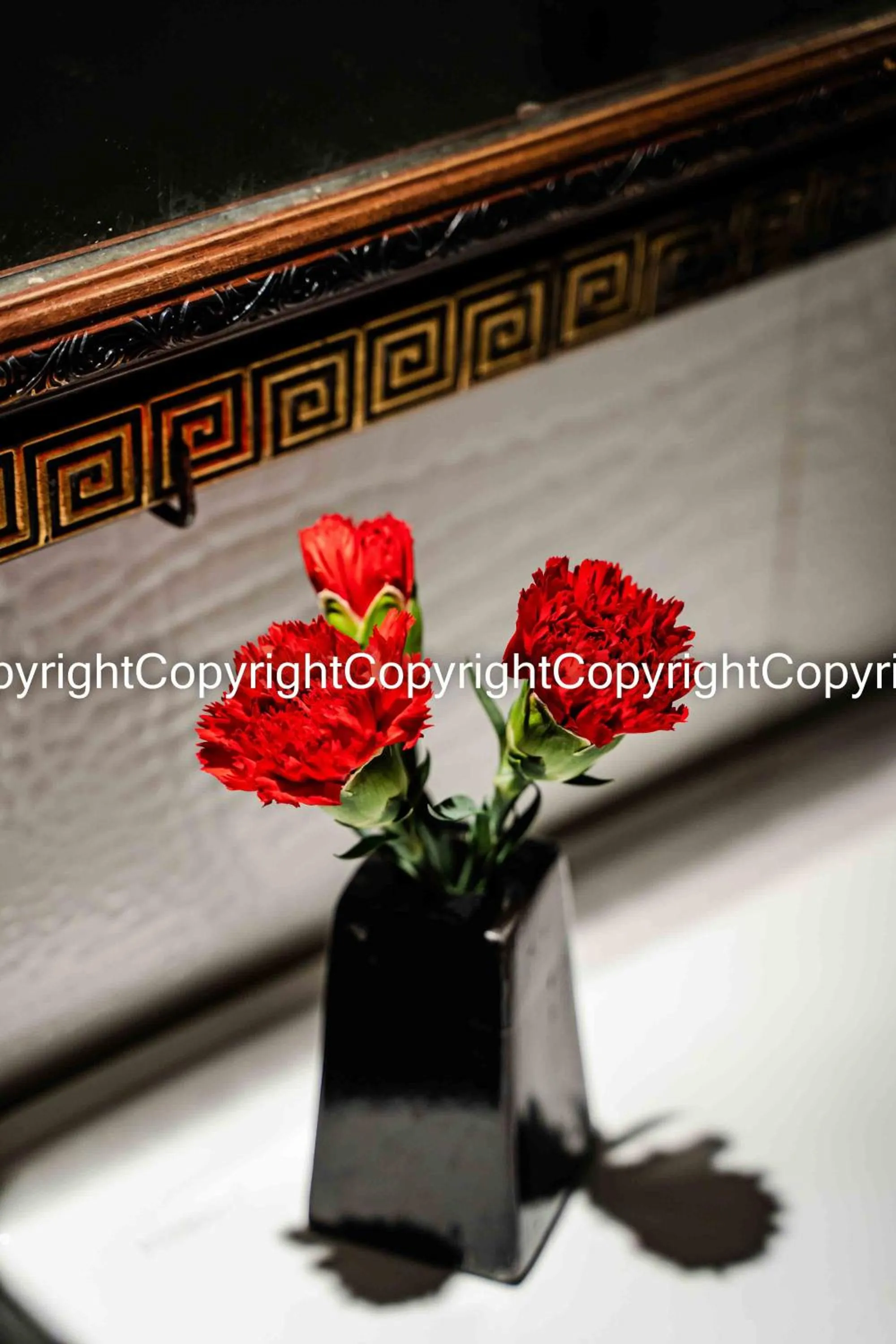 Wild Lotus Hotel & Travel 2