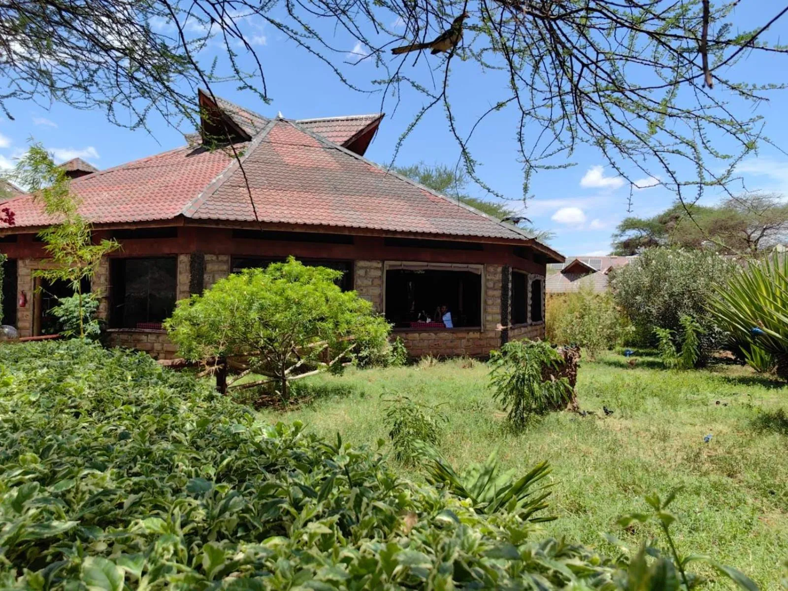 View (from property/room) in AA Lodge Amboseli