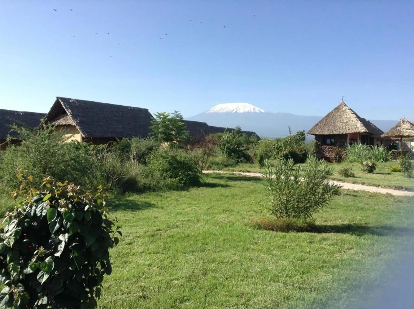 Landmark view in AA Lodge Amboseli