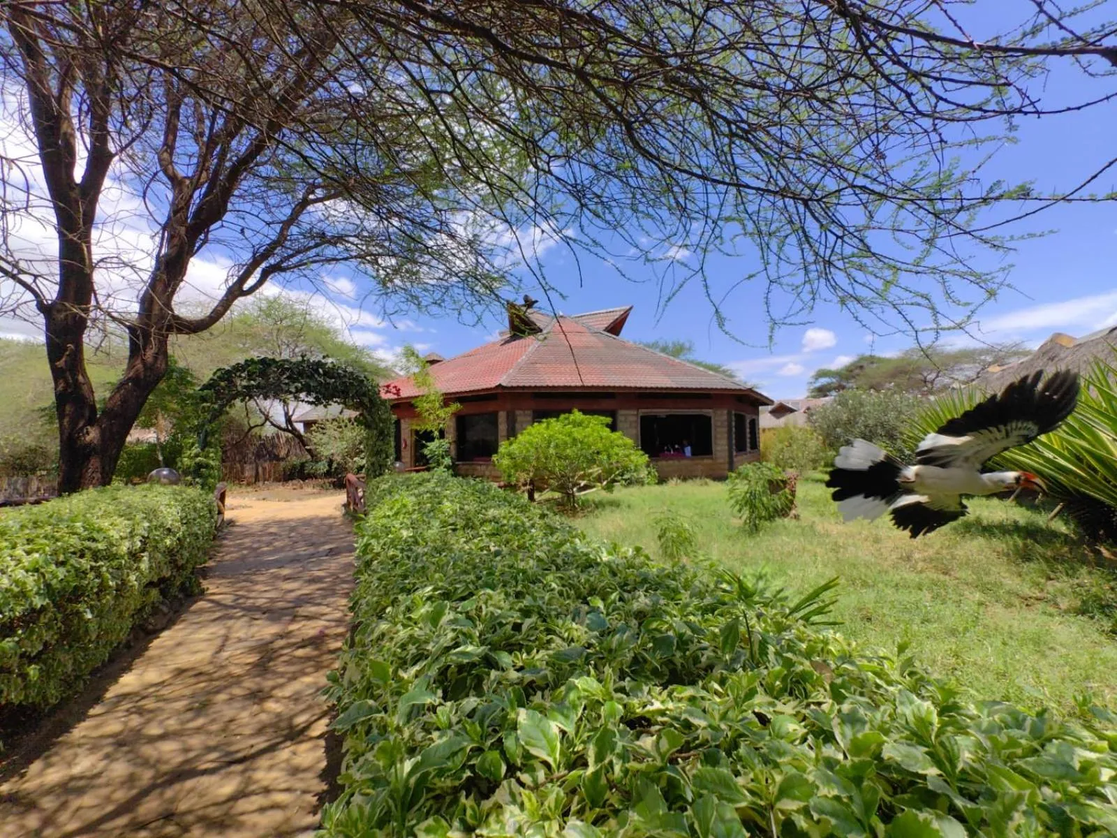 View (from property/room) in AA Lodge Amboseli