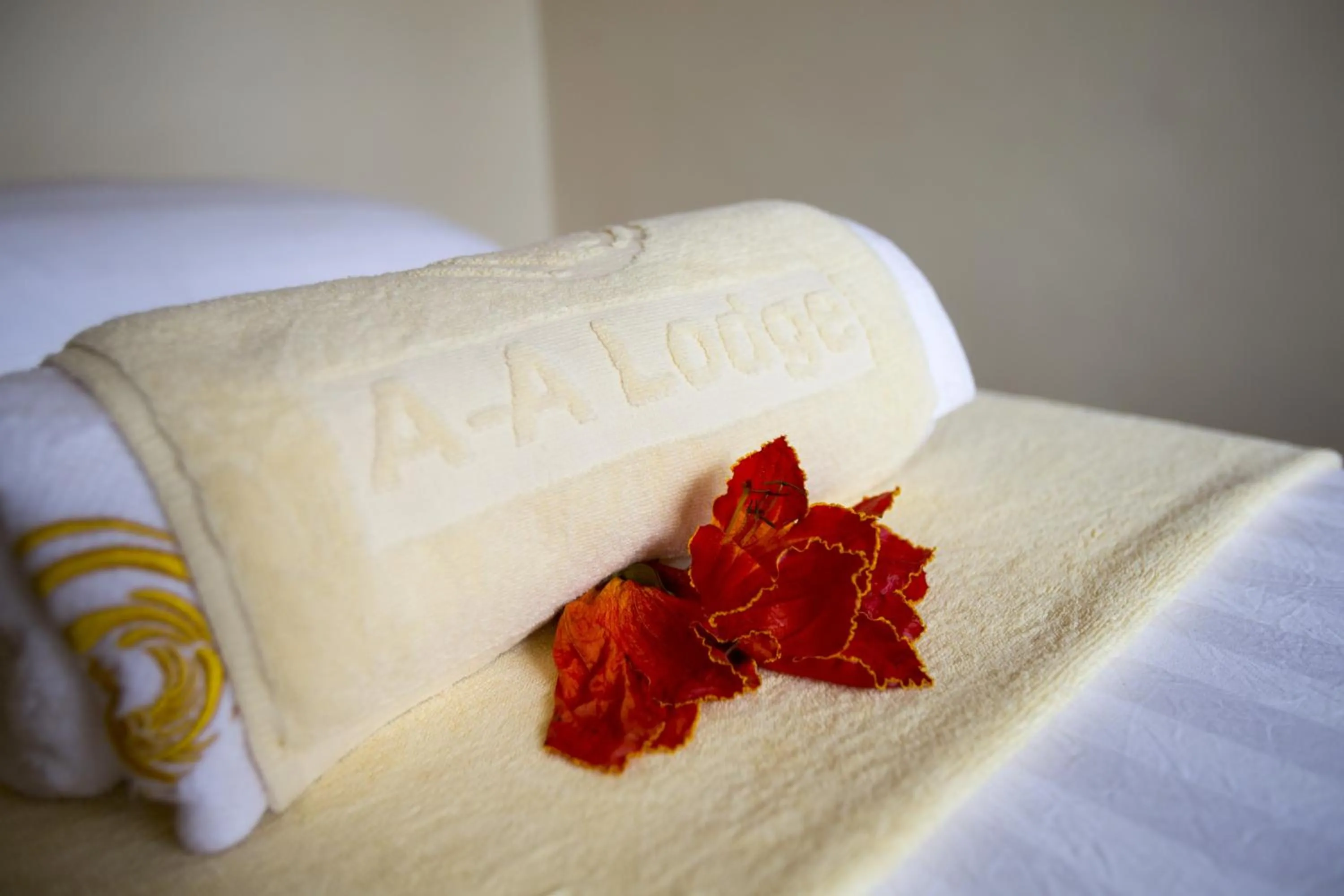 Massage, Bed in AA Lodge Amboseli