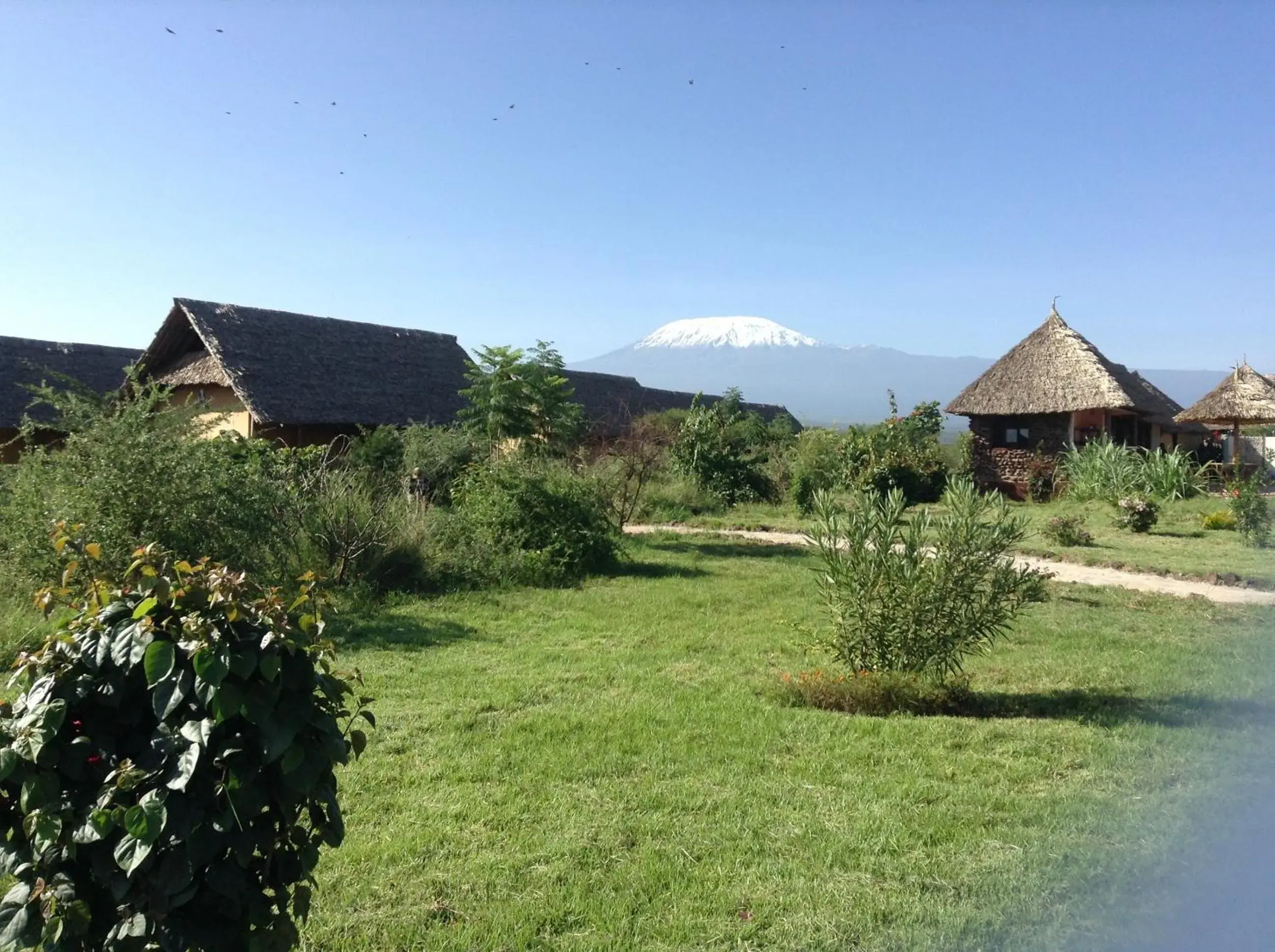 Mountain view in AA Lodge Amboseli Mountain view in AA Lodge Amboseli