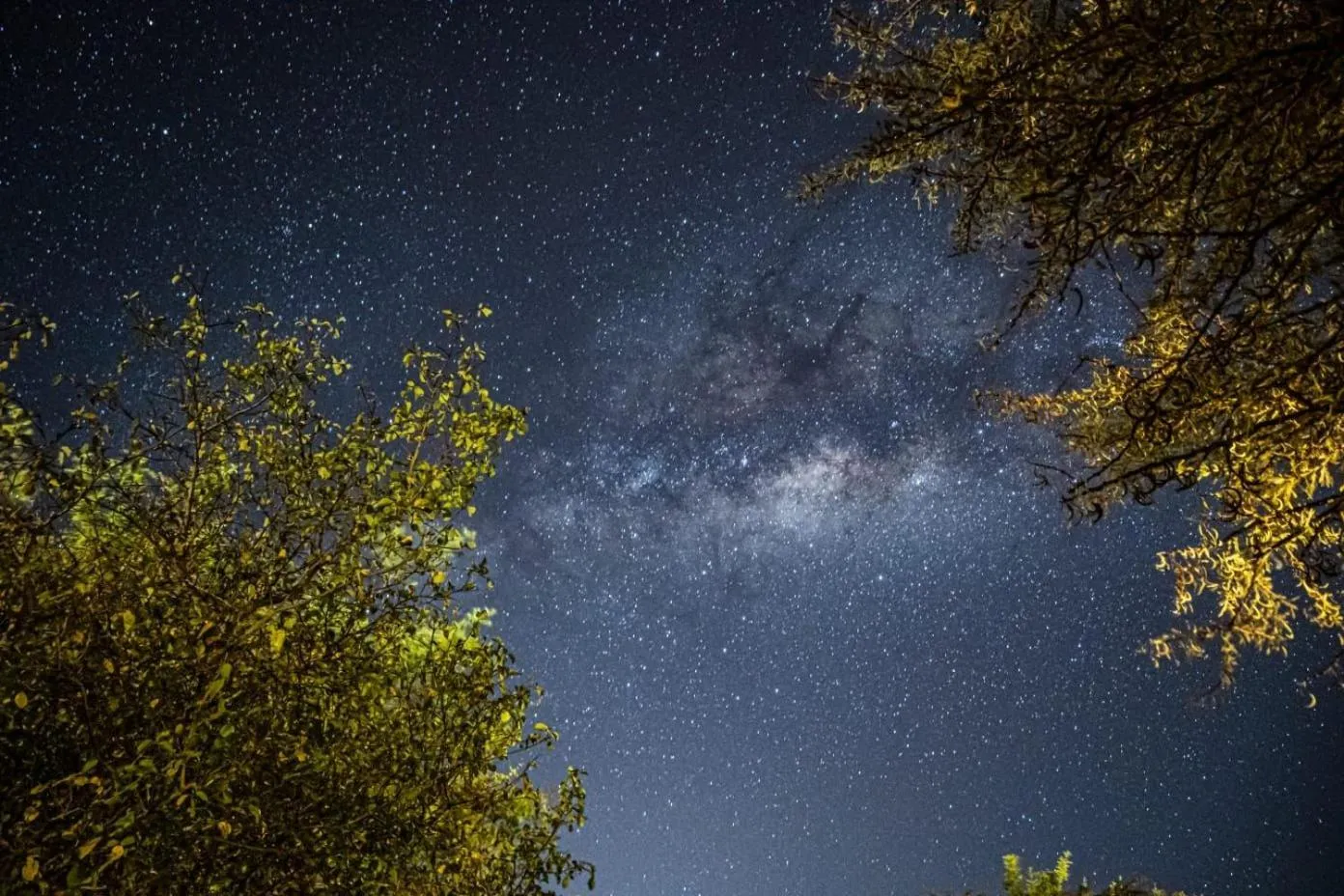 View (from property/room) in AA Lodge Maasai Mara