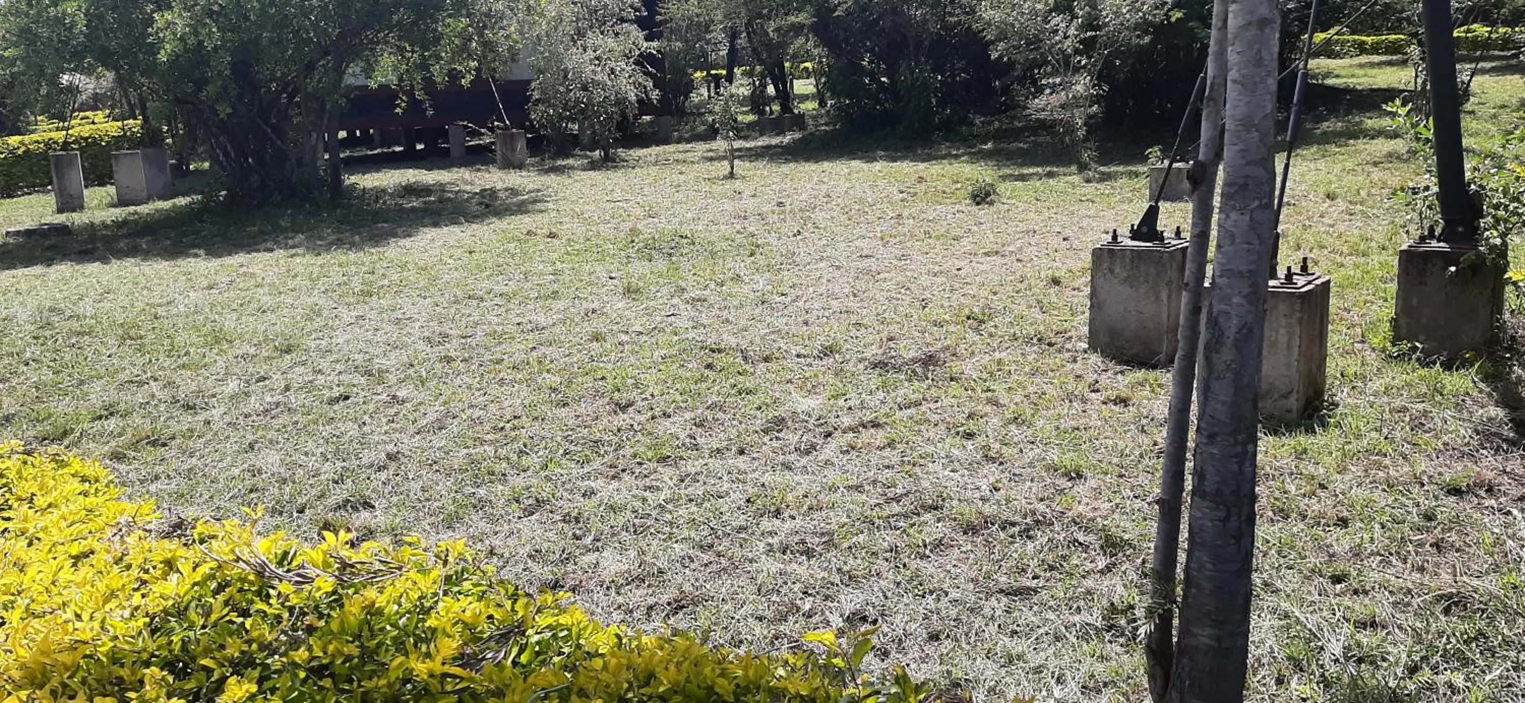 Garden in AA Lodge Maasai Mara