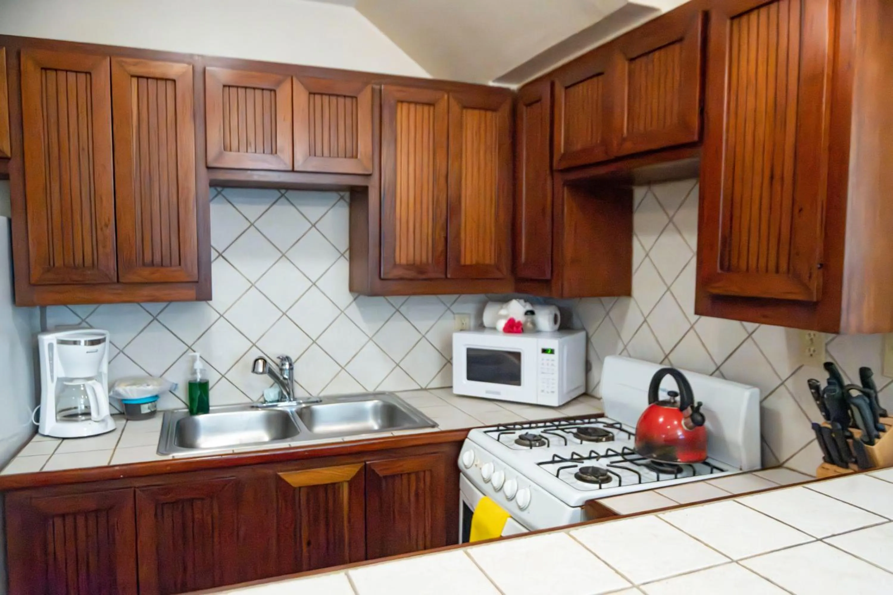 Kitchen or kitchenette in Isla Bonita Yacht Club