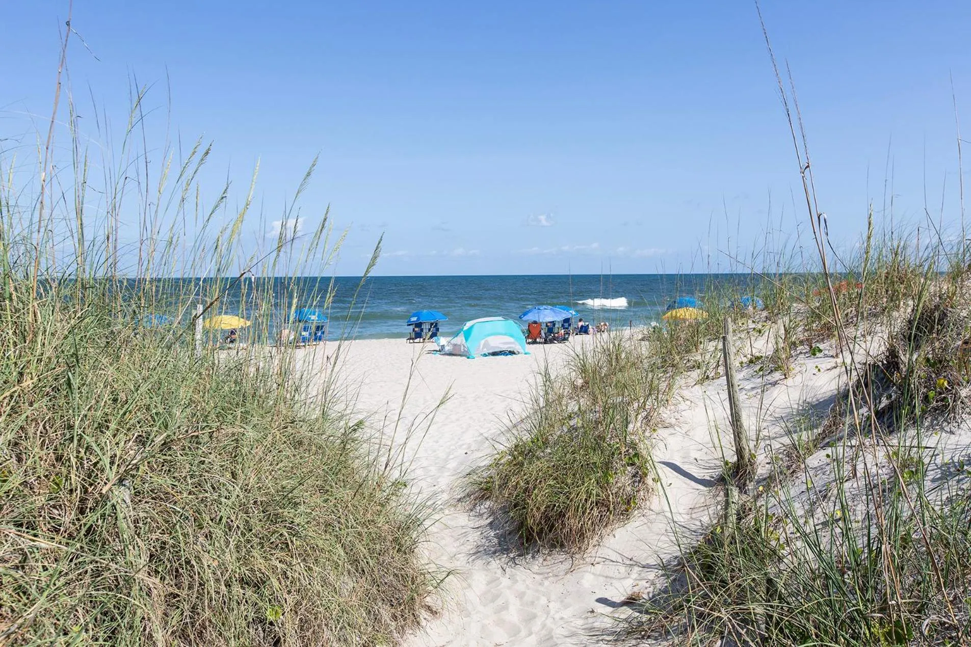 Natural landscape in Golden Sands Carolina Beach Oceanfront, Tapestry by Hilton
