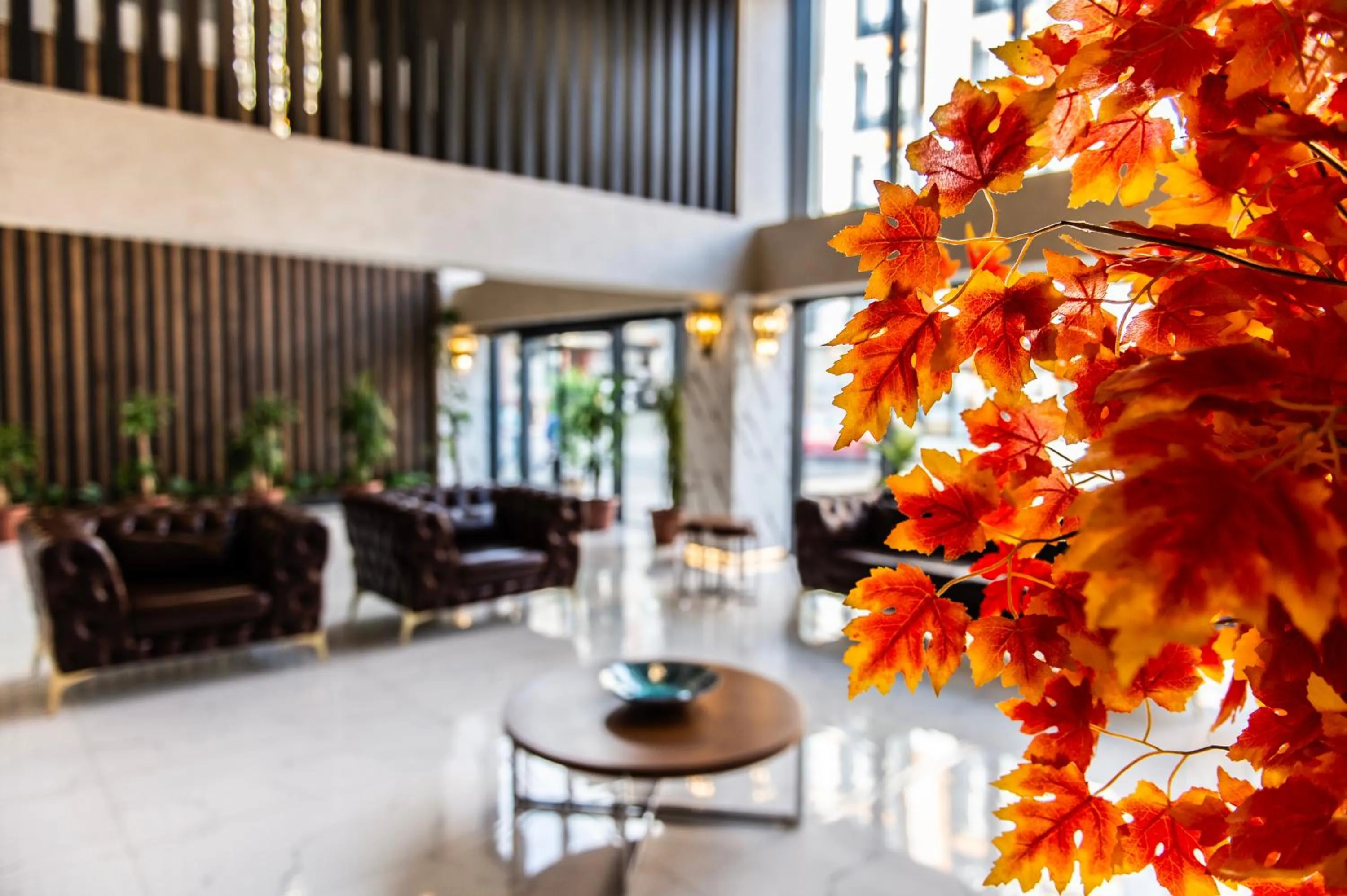 Property building in Blue Vista Houses & Spa