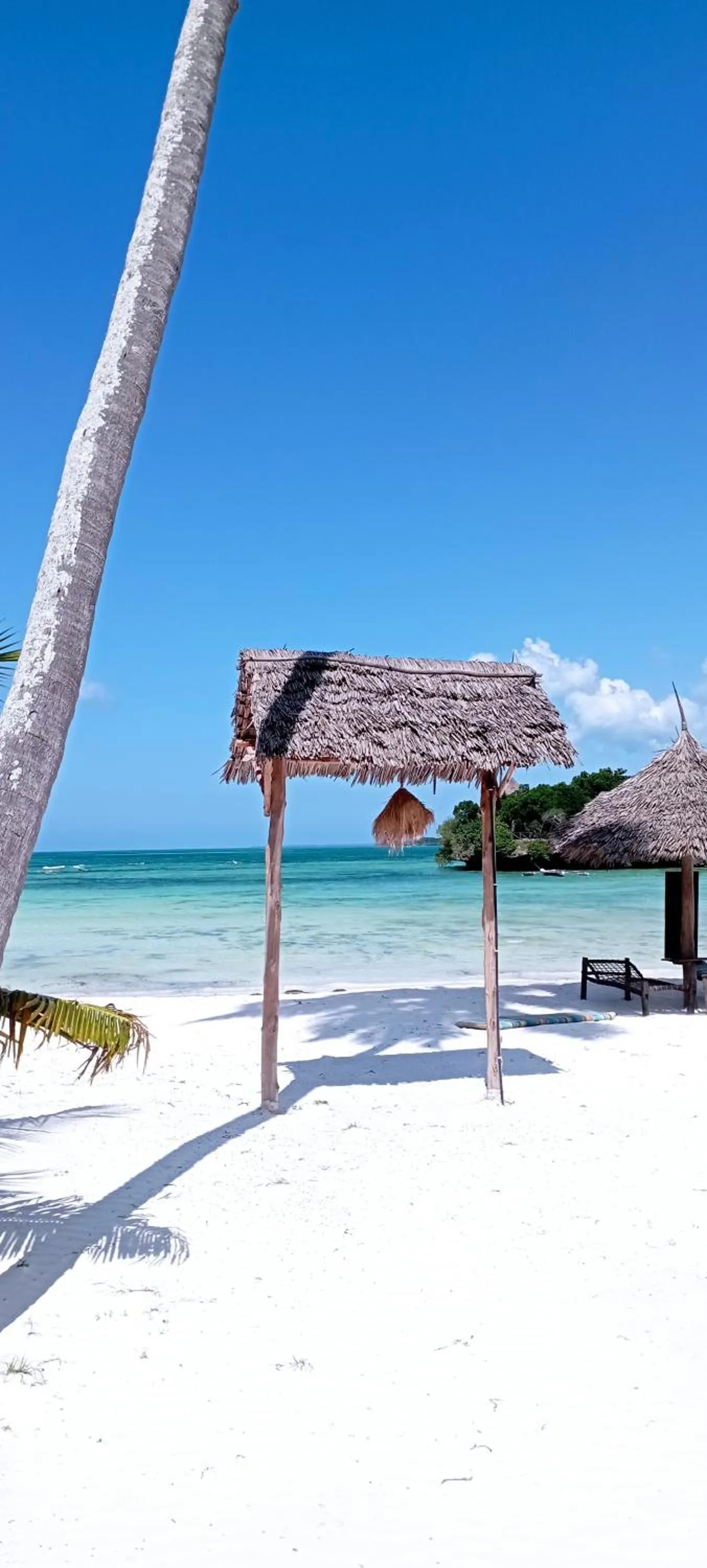 Beach in Coral Bay Zanzibar
